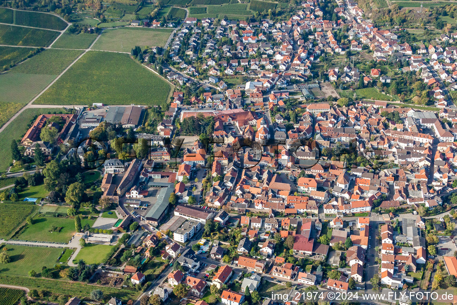 Ortsansicht der Straßen und Häuser der Wohngebiete in Wachenheim an der Weinstraße im Bundesland Rheinland-Pfalz, Deutschland