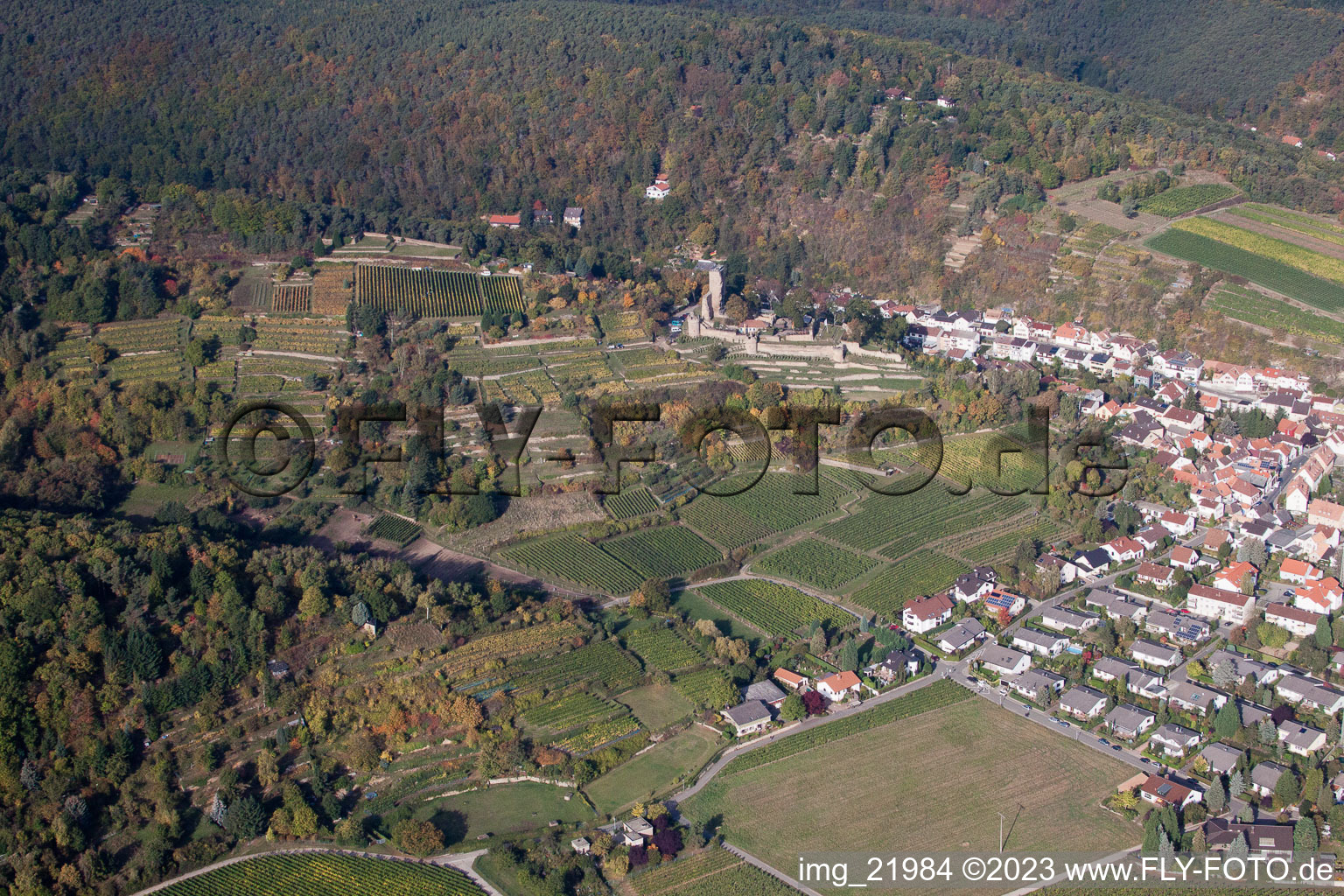 Luftbild von Wachenheim, Burg Wachenheim in Wachenheim an der Weinstraße im Bundesland Rheinland-Pfalz, Deutschland