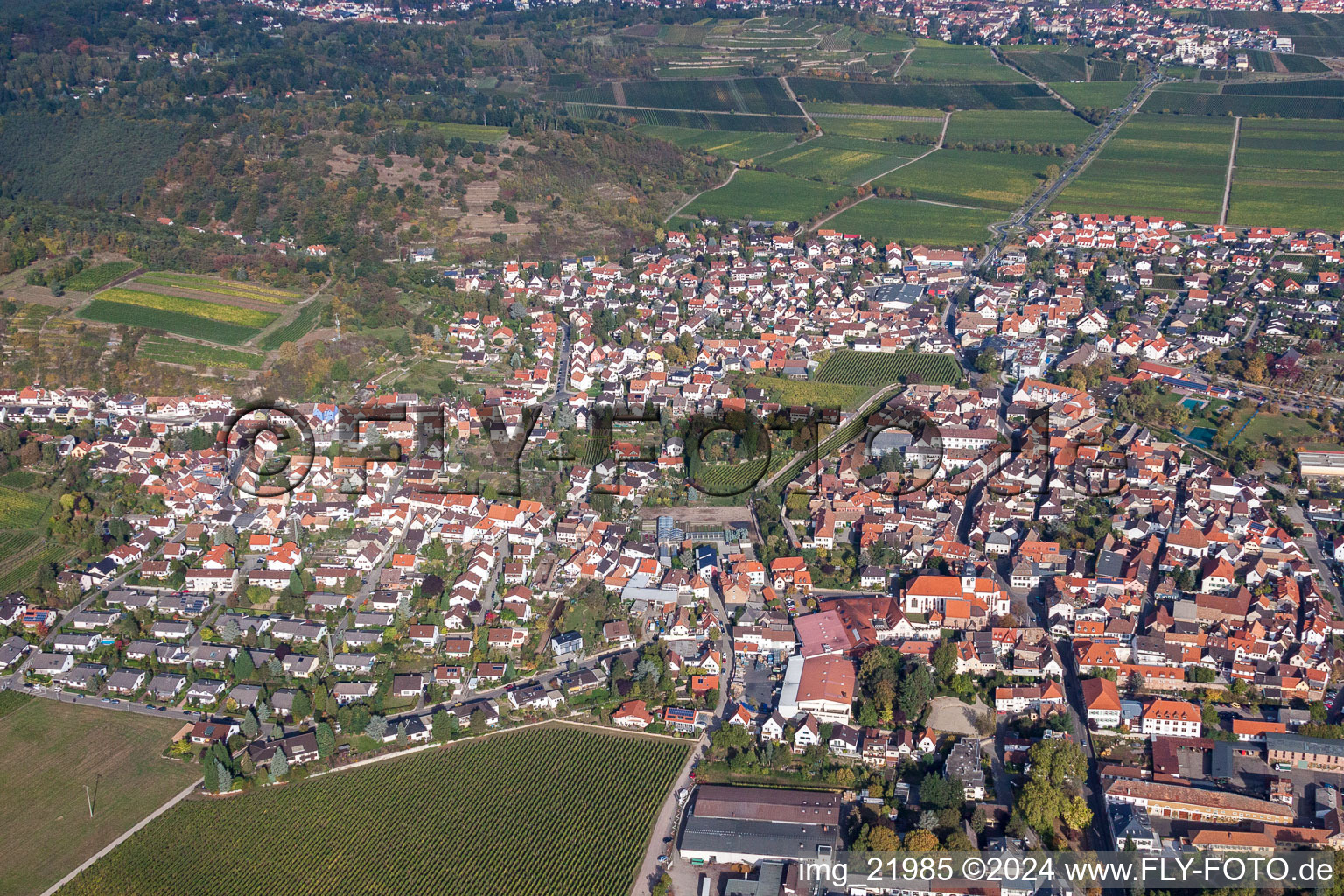 Luftbild von Ortsansicht der Straßen und Häuser der Wohngebiete in Wachenheim an der Weinstraße im Bundesland Rheinland-Pfalz, Deutschland