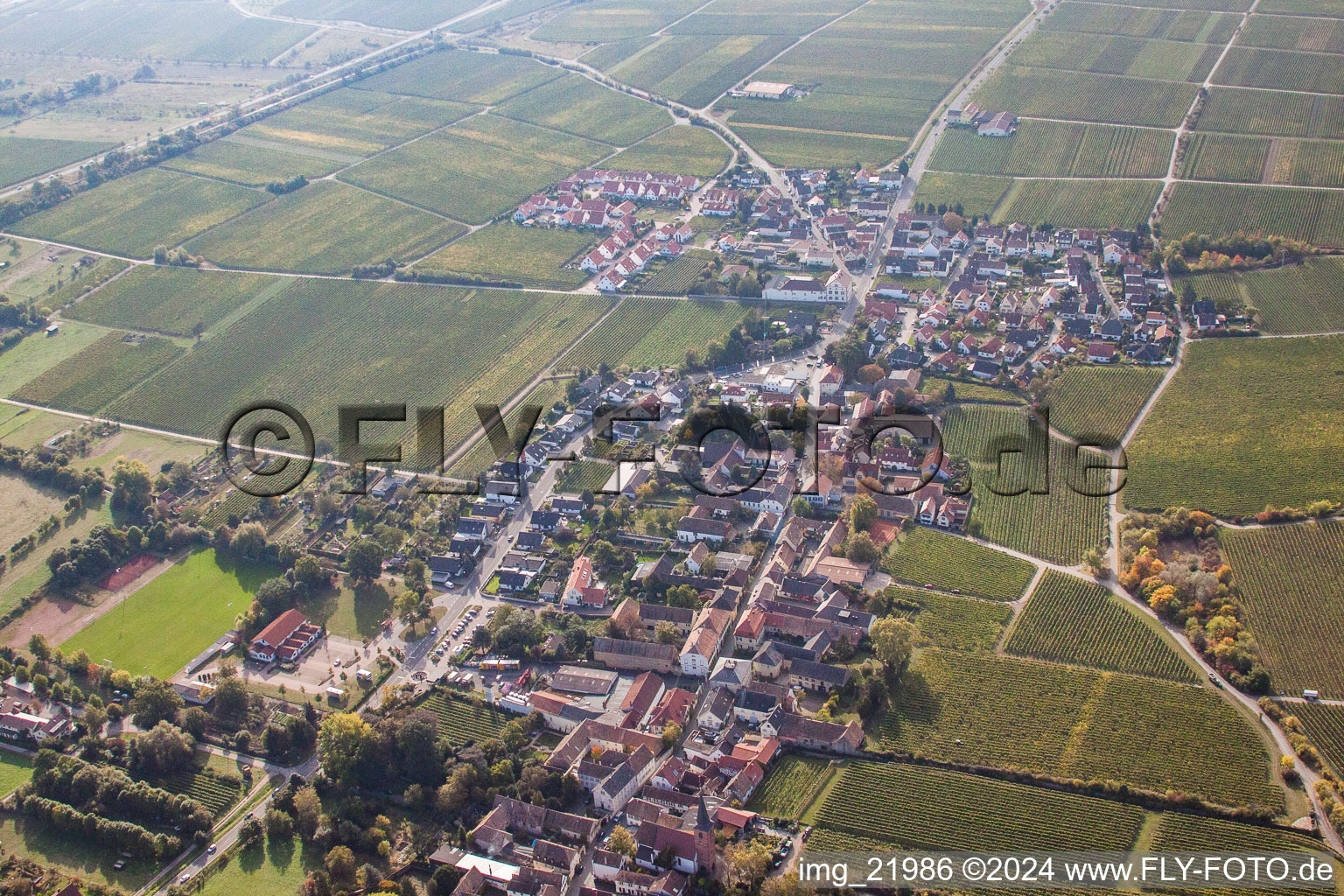 Luftbild von Dorf - Ansicht am Rande von weinwirtschaftlichen Feldern und Nutzflächen in Forst an der Weinstraße im Bundesland Rheinland-Pfalz, Deutschland