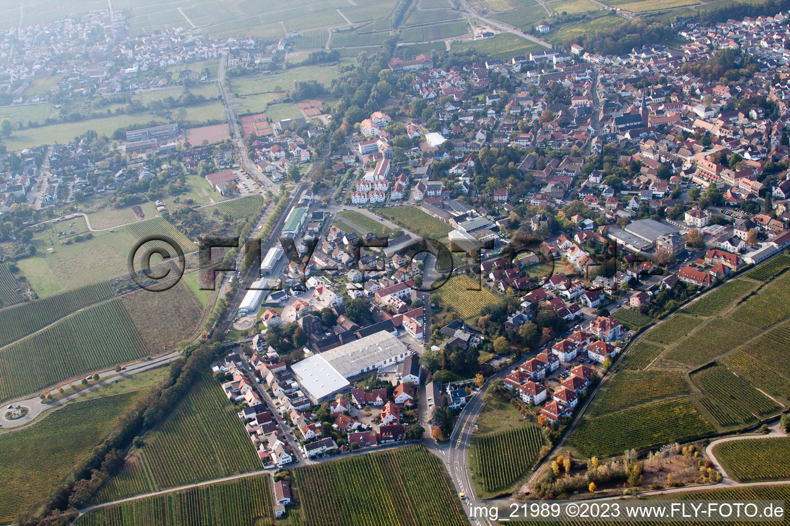 Deidesheim im Bundesland Rheinland-Pfalz, Deutschland aus der Drohnenperspektive