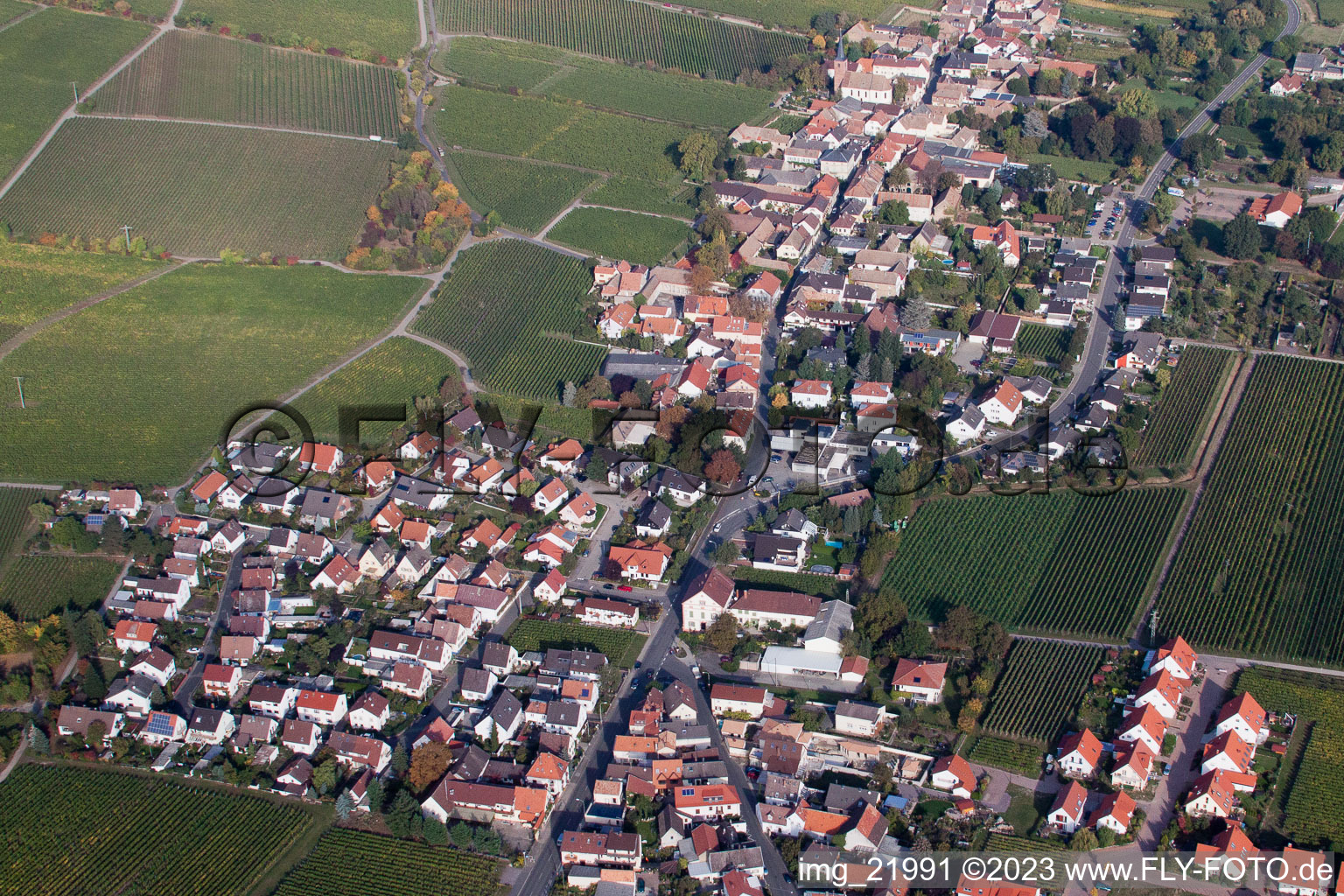 Deidesheim im Bundesland Rheinland-Pfalz, Deutschland von einer Drohne aus