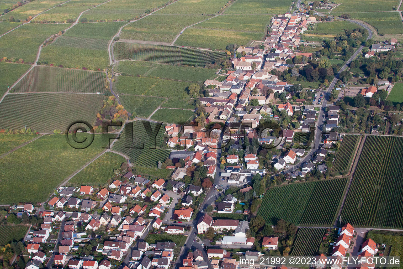 Deidesheim im Bundesland Rheinland-Pfalz, Deutschland von der Drohne aus gesehen