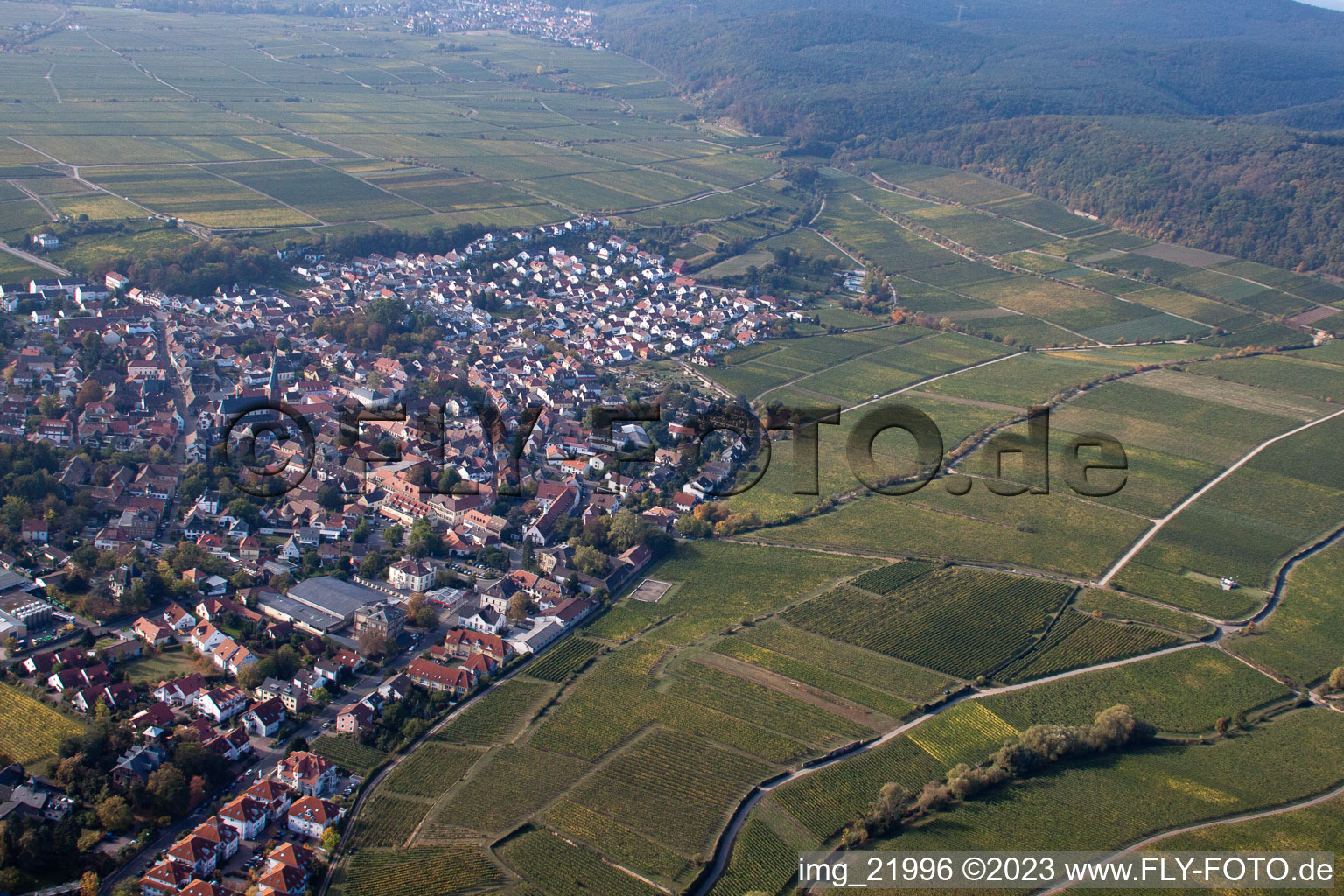 Deidesheim im Bundesland Rheinland-Pfalz, Deutschland von oben