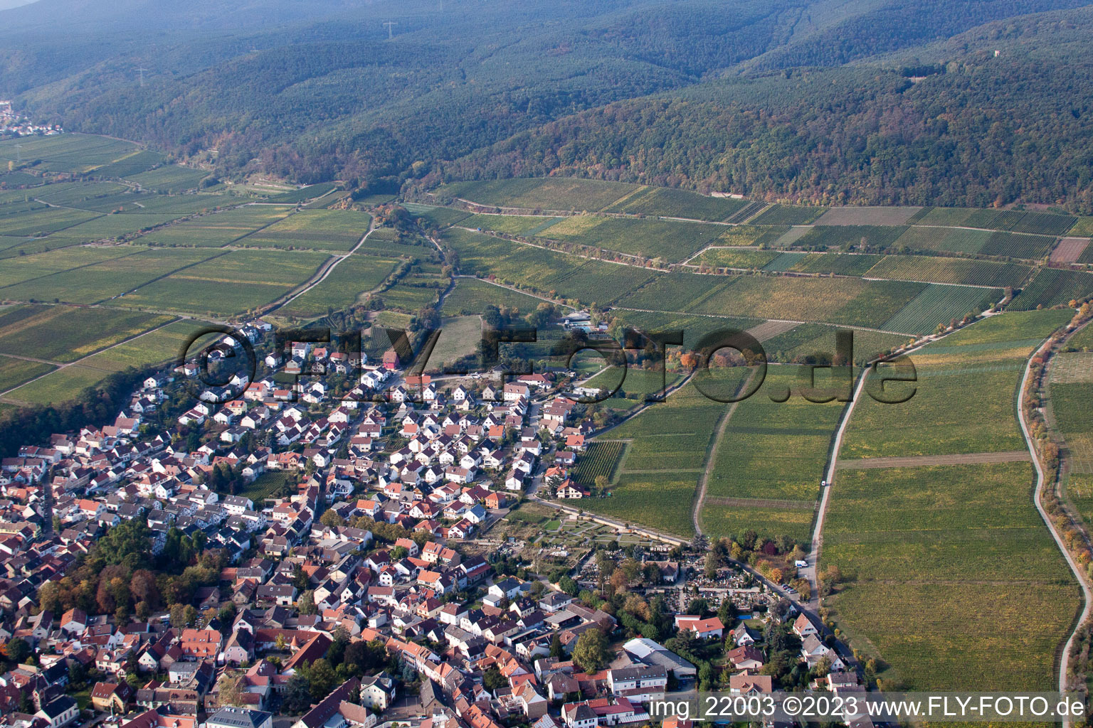 Deidesheim im Bundesland Rheinland-Pfalz, Deutschland aus der Vogelperspektive