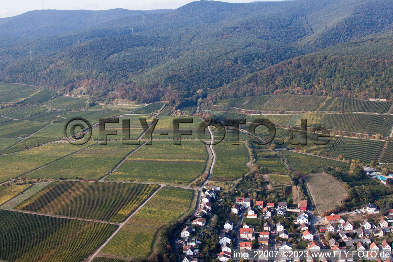 Drohnenbild von Deidesheim im Bundesland Rheinland-Pfalz, Deutschland