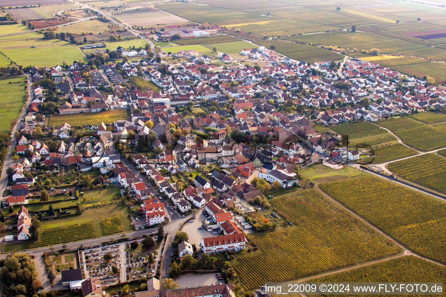 Dorf - Ansicht am Rande von Weinbergen im Ortsteil Königsbach in Ruppertsberg im Bundesland Rheinland-Pfalz, Deutschland