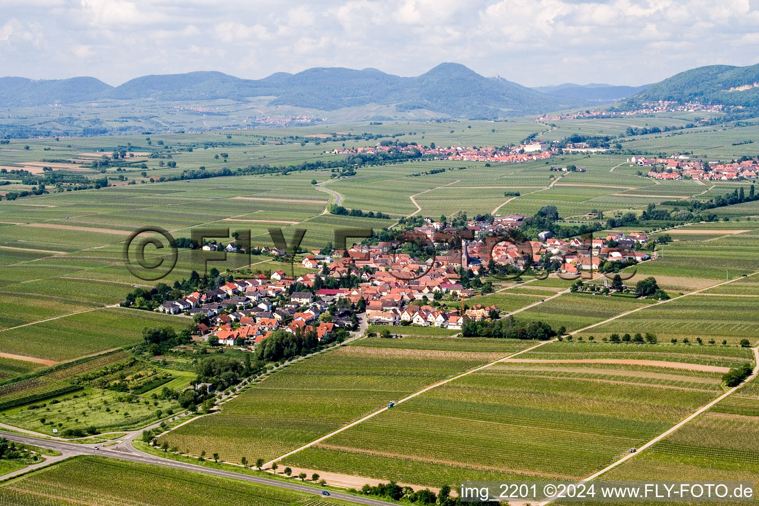 Luftbild von Dorf - Ansicht am Rande von Weinbergen in Roschbach im Bundesland Rheinland-Pfalz, Deutschland