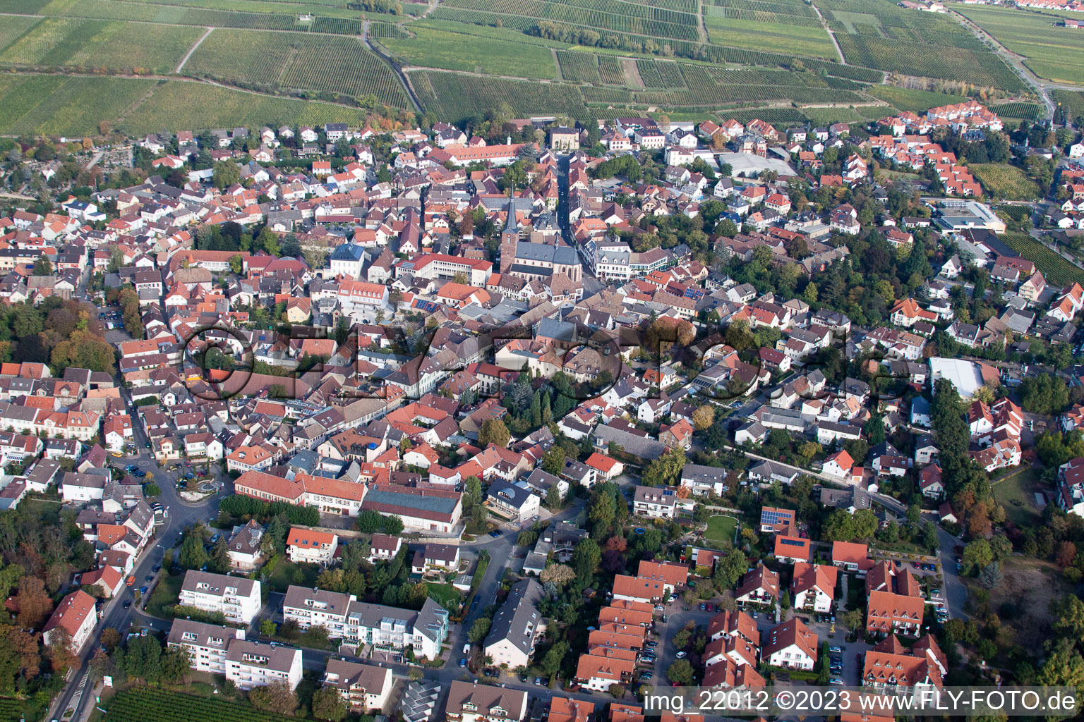 Deidesheim im Bundesland Rheinland-Pfalz, Deutschland von einer Drohne aus