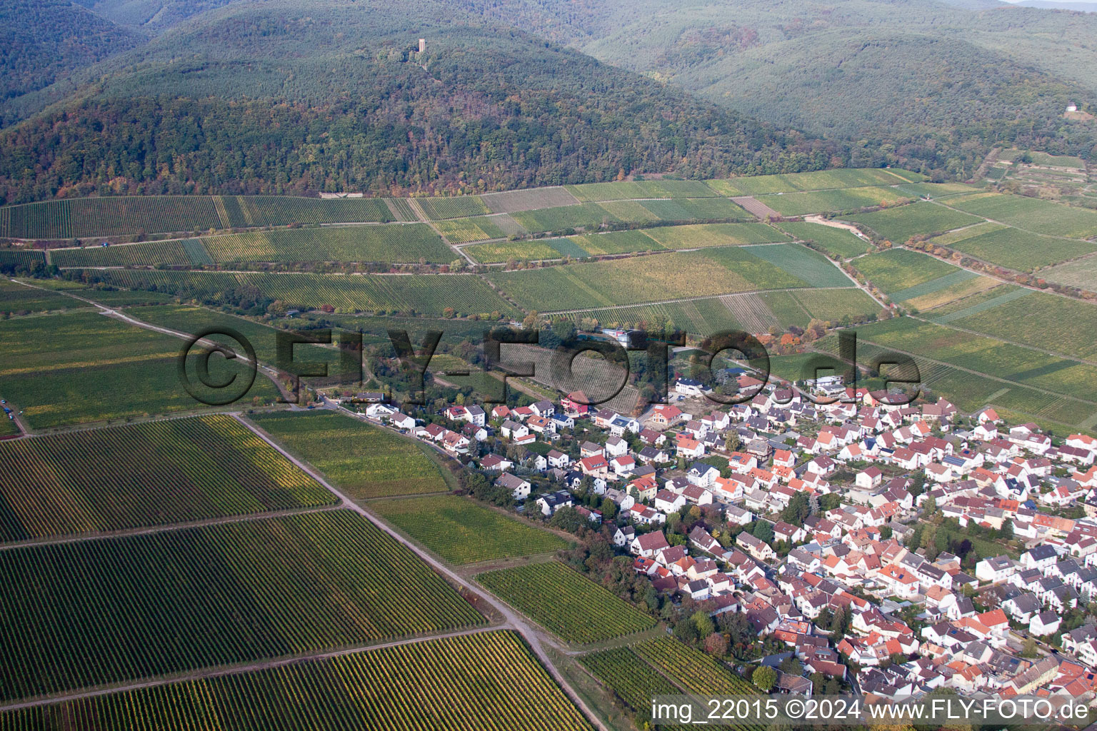 Luftaufnahme von Deidesheim im Bundesland Rheinland-Pfalz, Deutschland