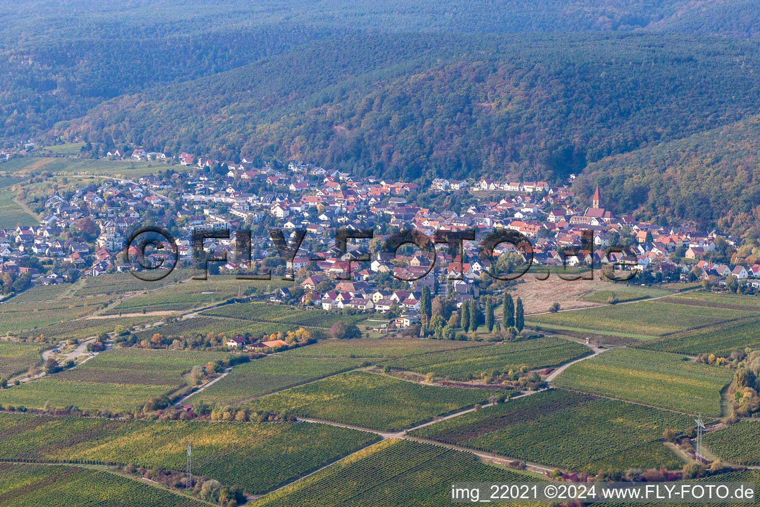 Ortsteil Königsbach in Neustadt an der Weinstraße im Bundesland Rheinland-Pfalz, Deutschland von oben gesehen