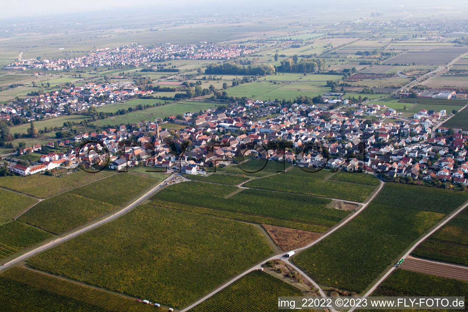 Ruppertsberg im Bundesland Rheinland-Pfalz, Deutschland von einer Drohne aus