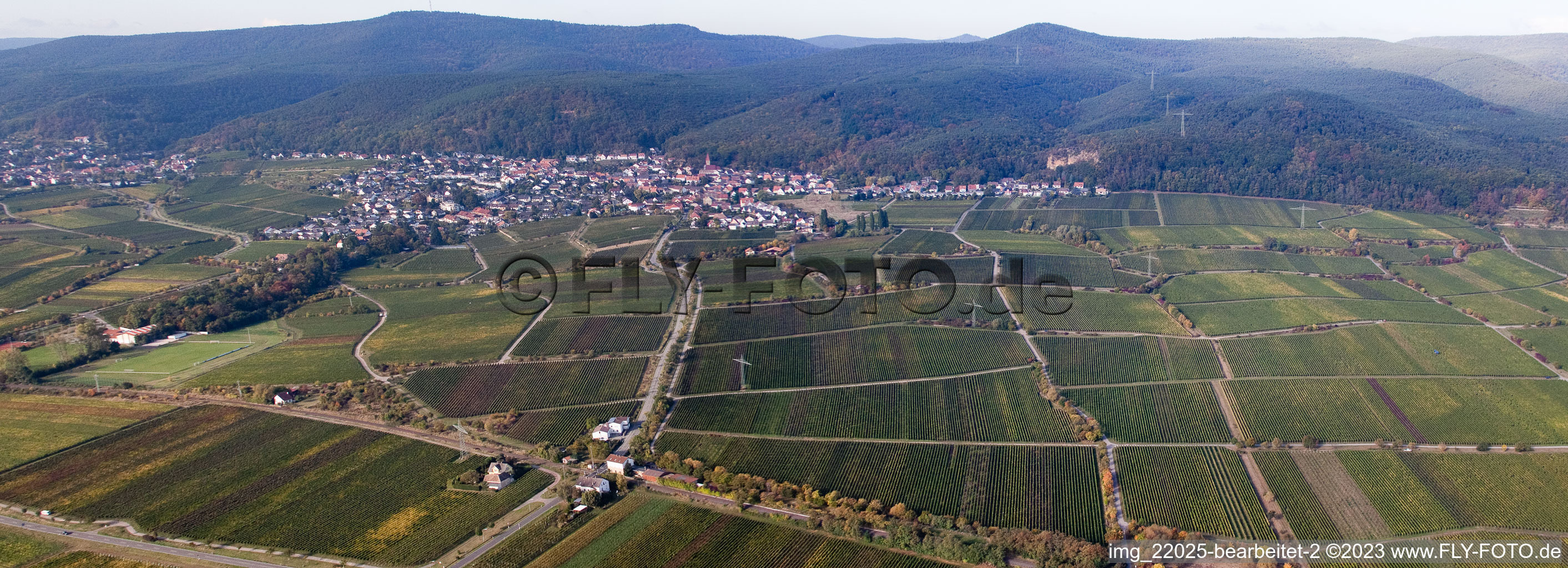 Ortsteil Königsbach in Neustadt an der Weinstraße im Bundesland Rheinland-Pfalz, Deutschland vom Flugzeug aus