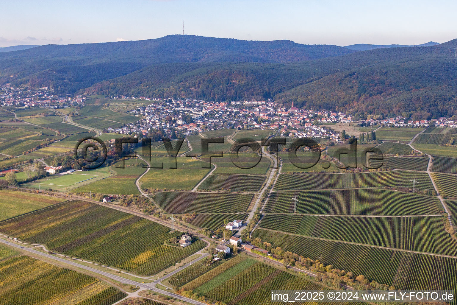 Ortsteil Königsbach in Neustadt an der Weinstraße im Bundesland Rheinland-Pfalz, Deutschland aus der Vogelperspektive