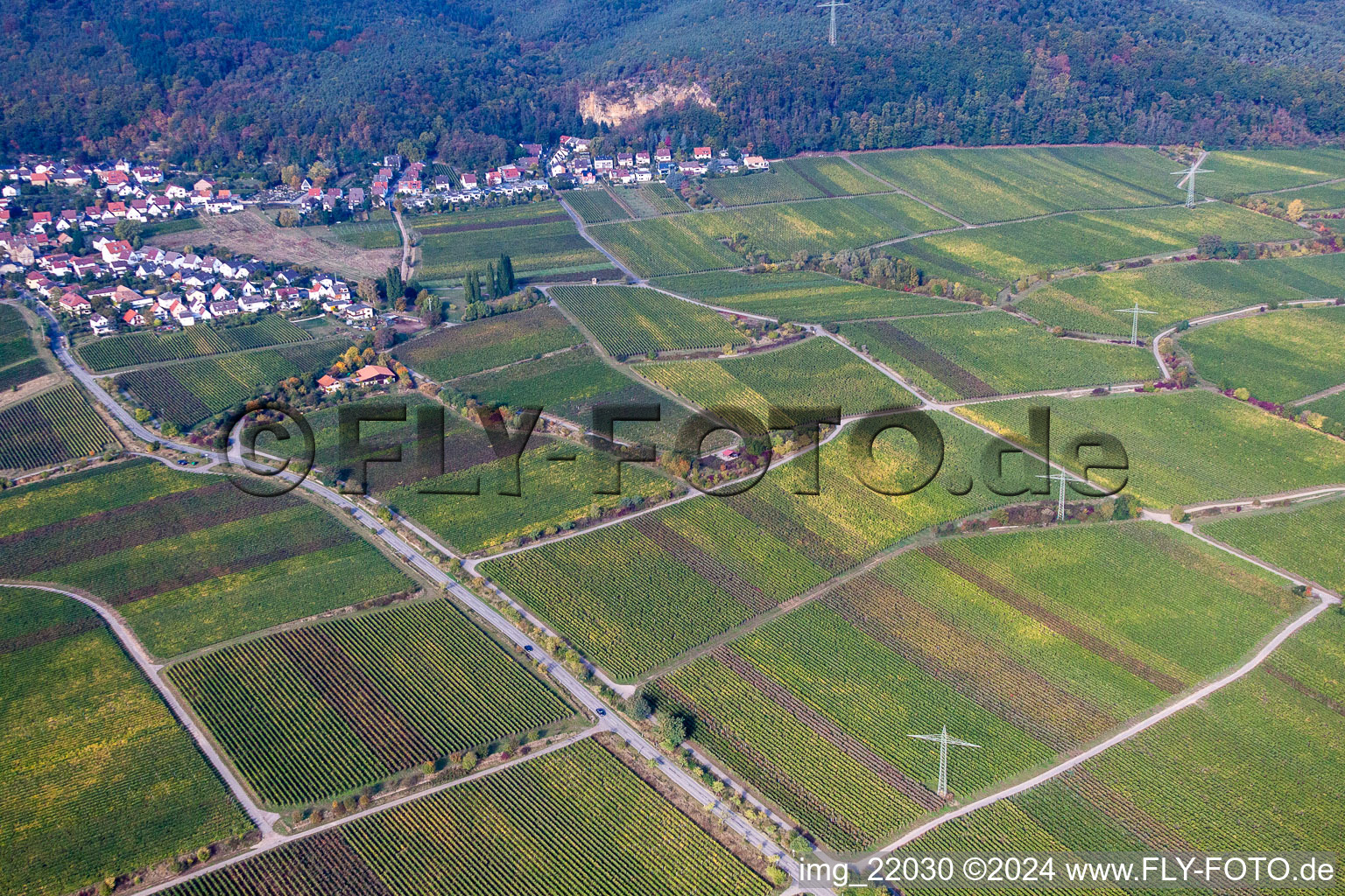 Drohnenbild von Ortsteil Königsbach in Neustadt an der Weinstraße im Bundesland Rheinland-Pfalz, Deutschland