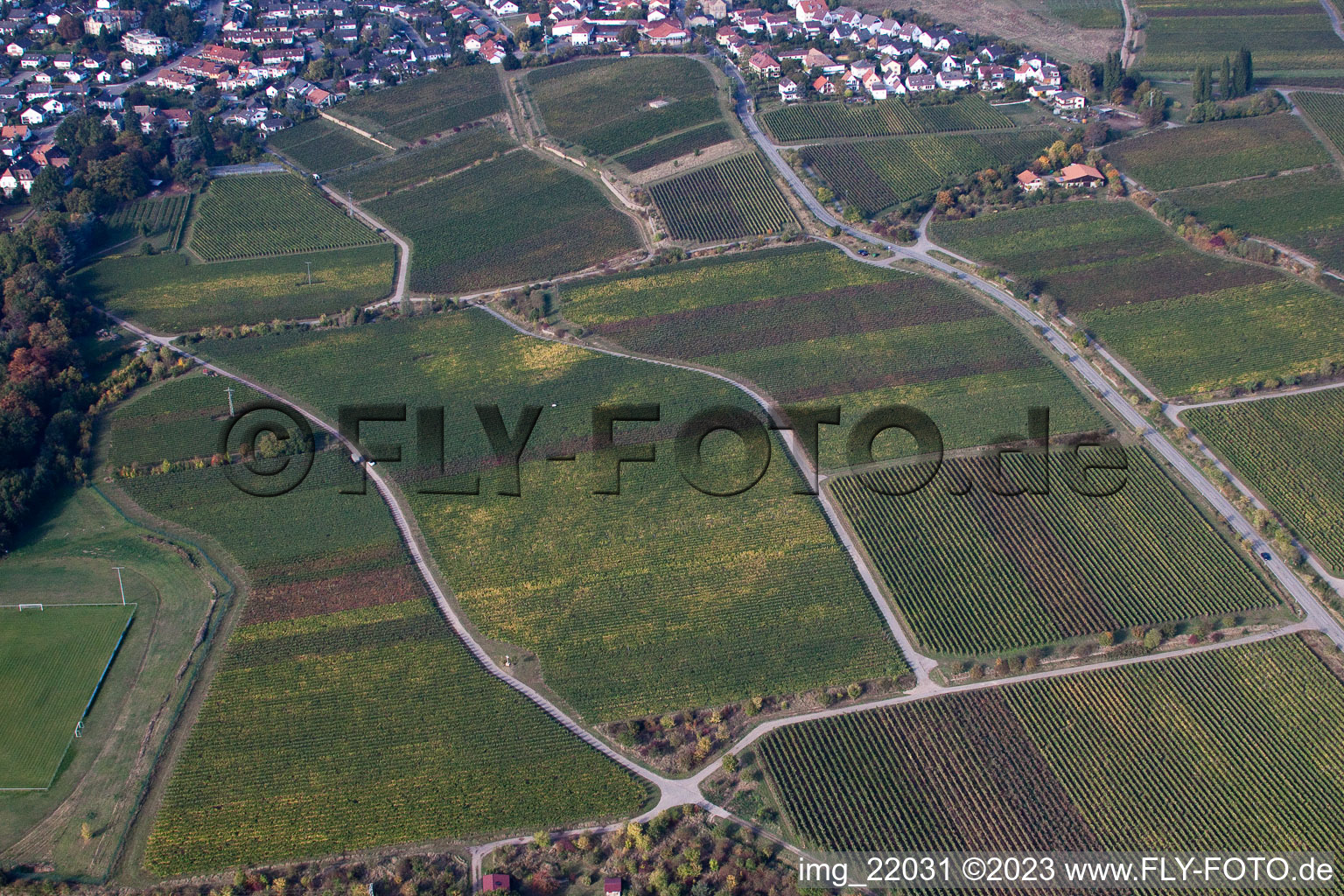 Ortsteil Königsbach in Neustadt an der Weinstraße im Bundesland Rheinland-Pfalz, Deutschland aus der Drohnenperspektive
