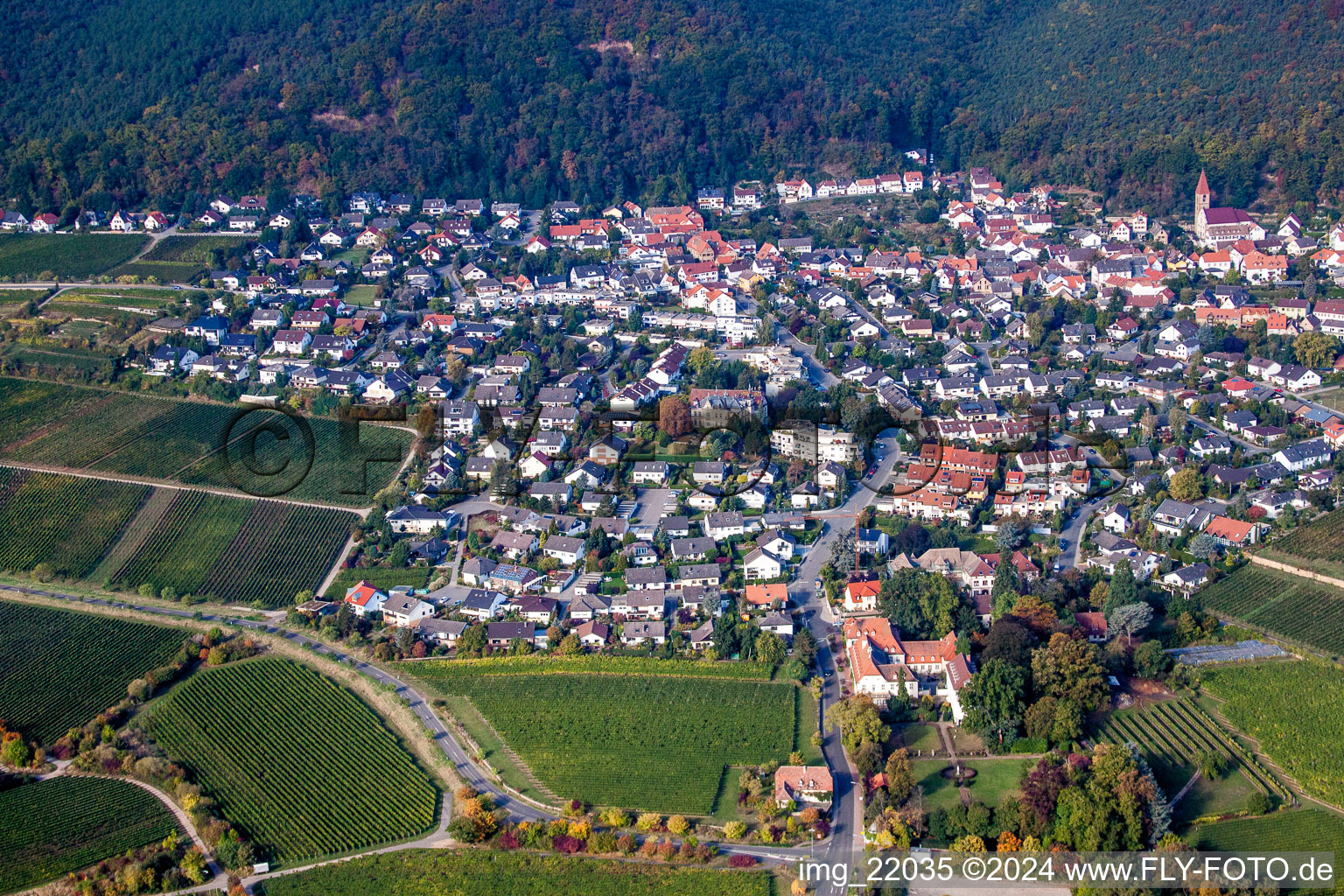 Luftbild von Dorf - Ansicht am Rande von Weinbergen am Haardtrand des Pfälzerwaldes von Ortsteil Königsbach in Neustadt an der Weinstraße im Bundesland Rheinland-Pfalz, Deutschland