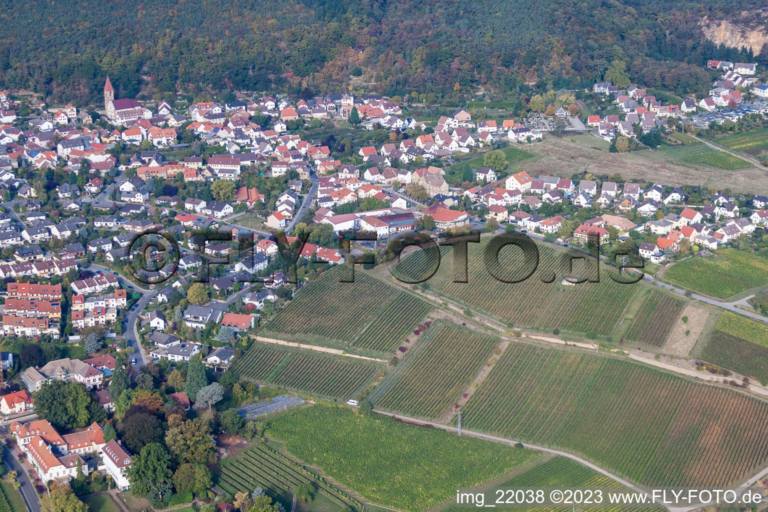 Ortsteil Königsbach in Neustadt an der Weinstraße im Bundesland Rheinland-Pfalz, Deutschland von der Drohne aus gesehen