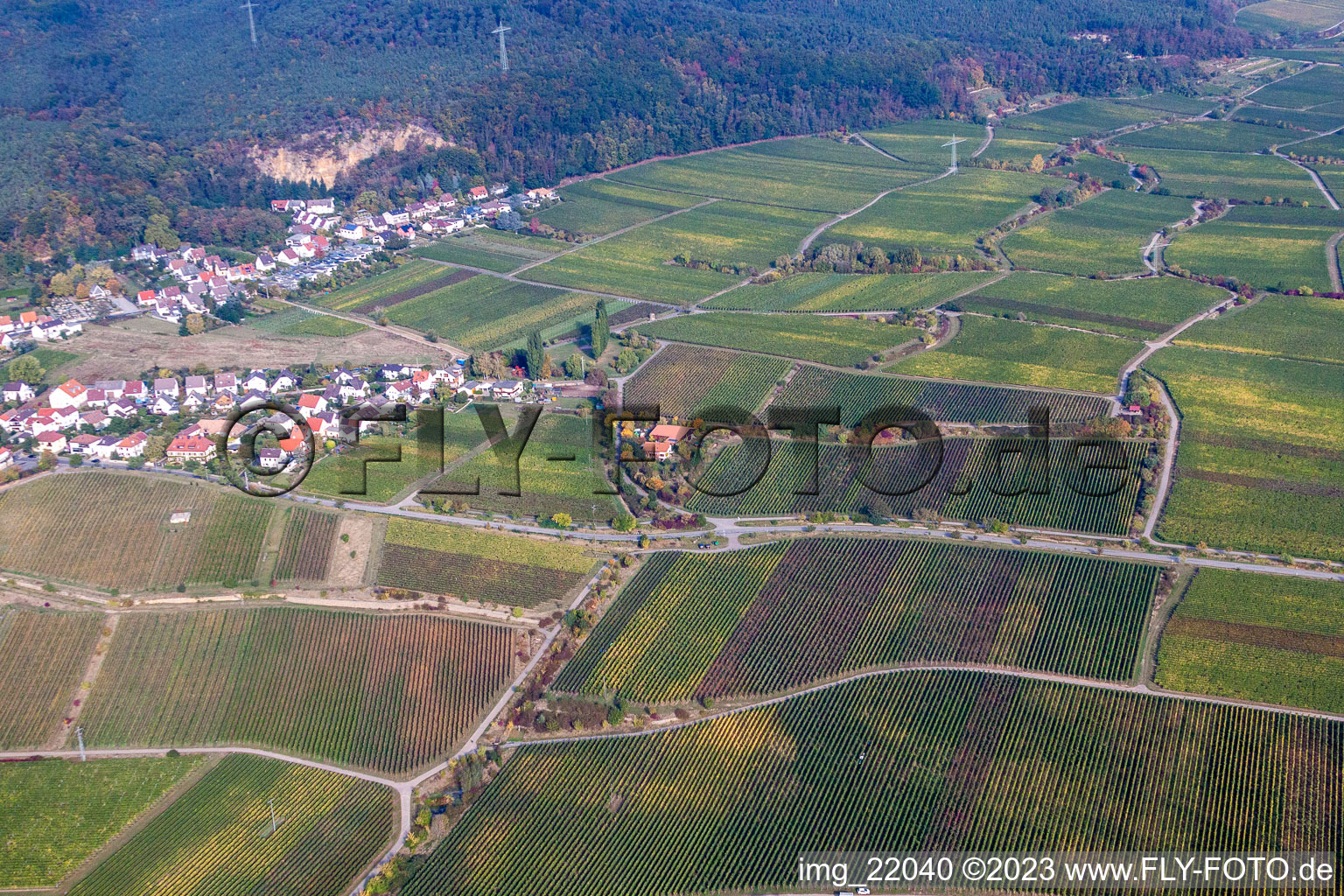 Luftbild von Ortsteil Königsbach in Neustadt an der Weinstraße im Bundesland Rheinland-Pfalz, Deutschland