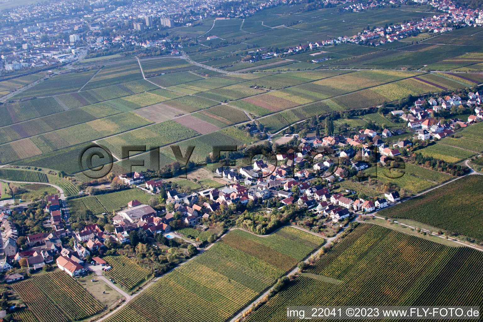 Ortsteil Mußbach in Neustadt an der Weinstraße im Bundesland Rheinland-Pfalz, Deutschland von einer Drohne aus