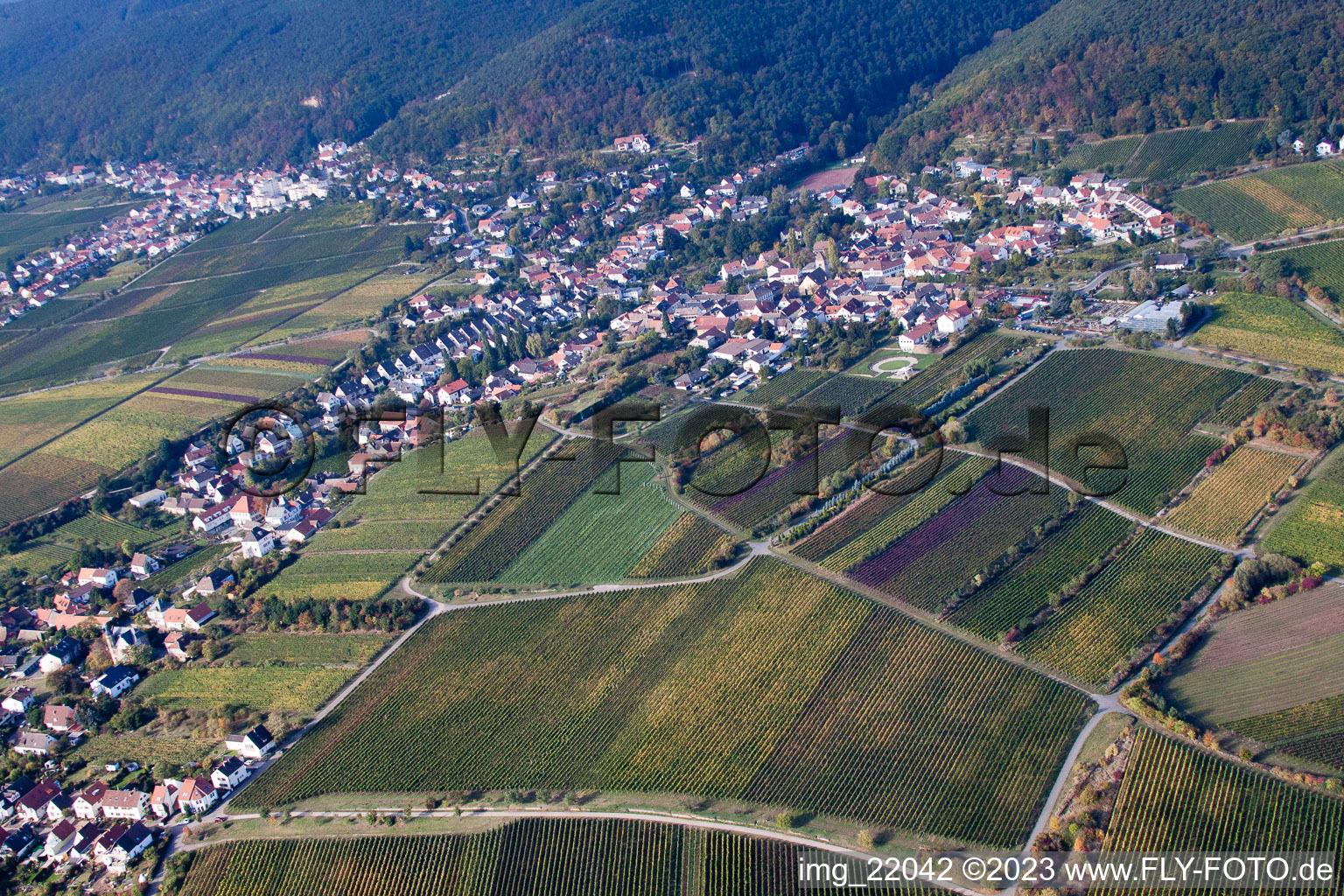 Ortsteil Mußbach in Neustadt an der Weinstraße im Bundesland Rheinland-Pfalz, Deutschland von der Drohne aus gesehen