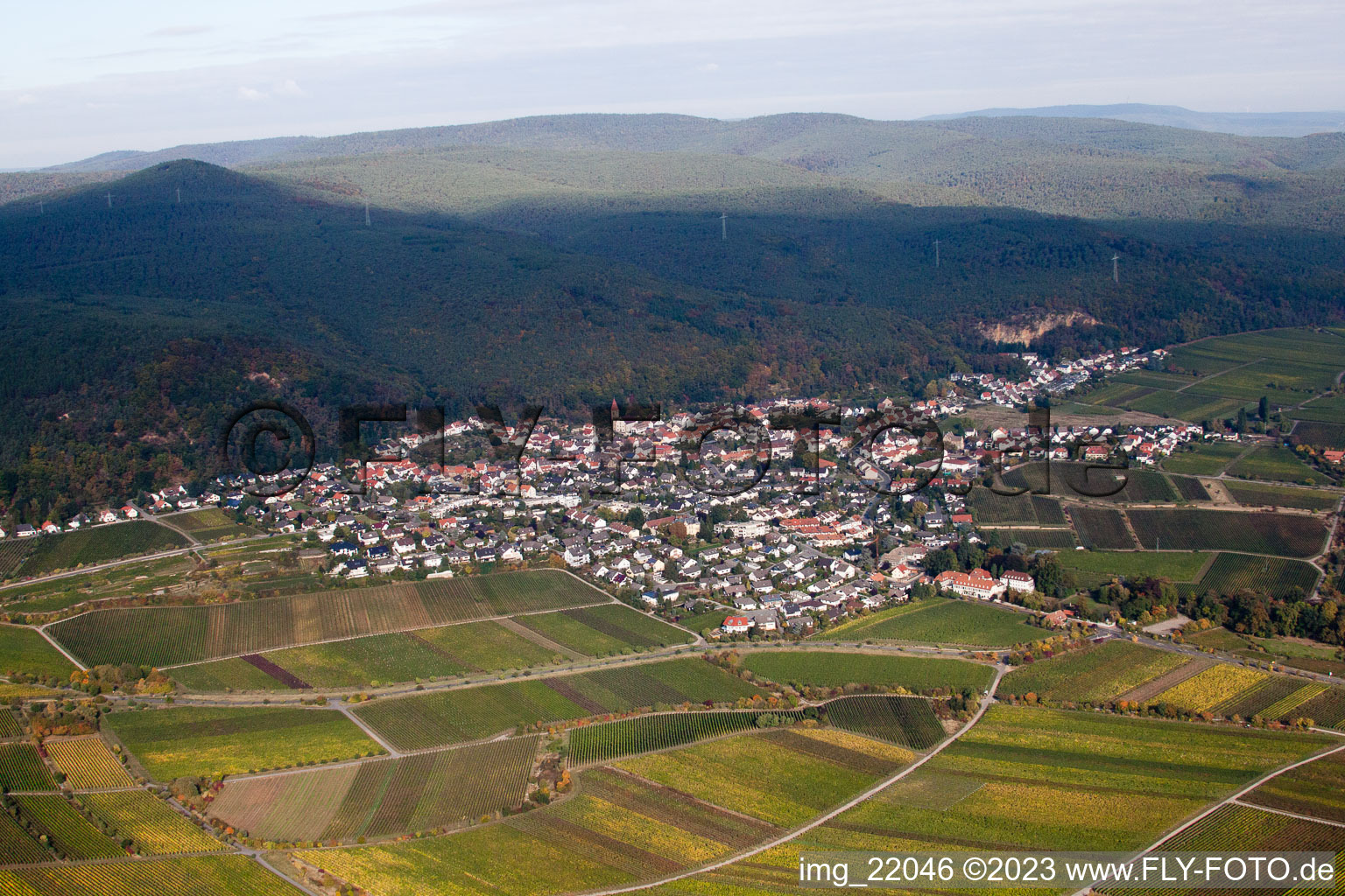 Luftaufnahme von Ortsteil Königsbach in Neustadt an der Weinstraße im Bundesland Rheinland-Pfalz, Deutschland