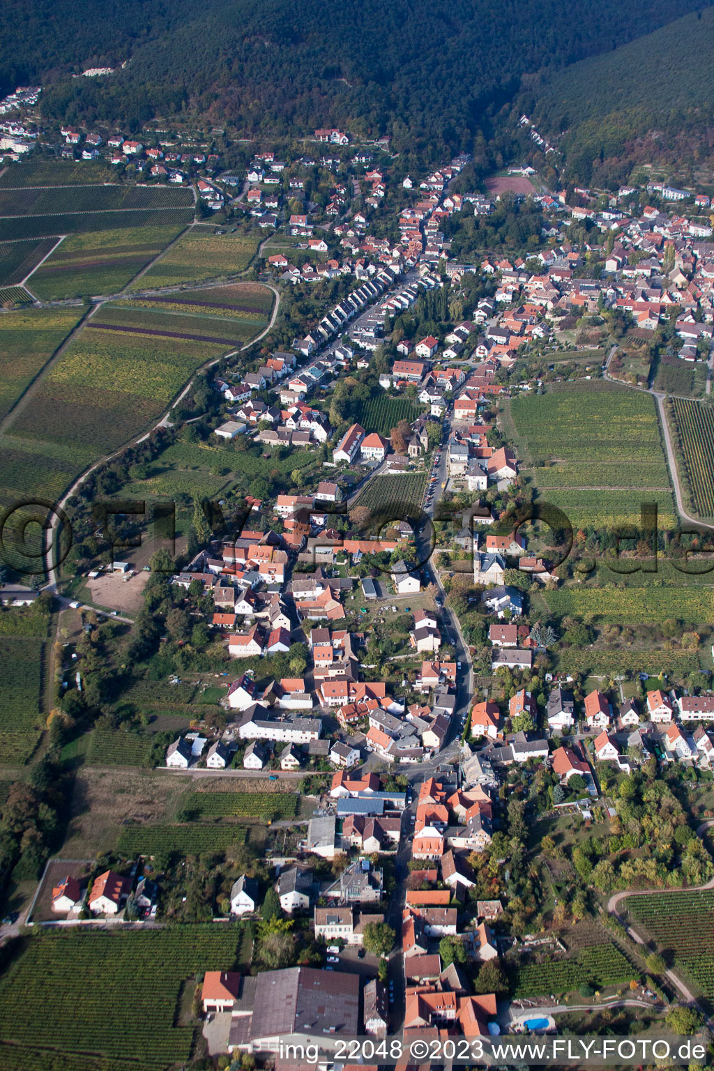 Schrägluftbild von Ortsteil Mußbach in Neustadt an der Weinstraße im Bundesland Rheinland-Pfalz, Deutschland