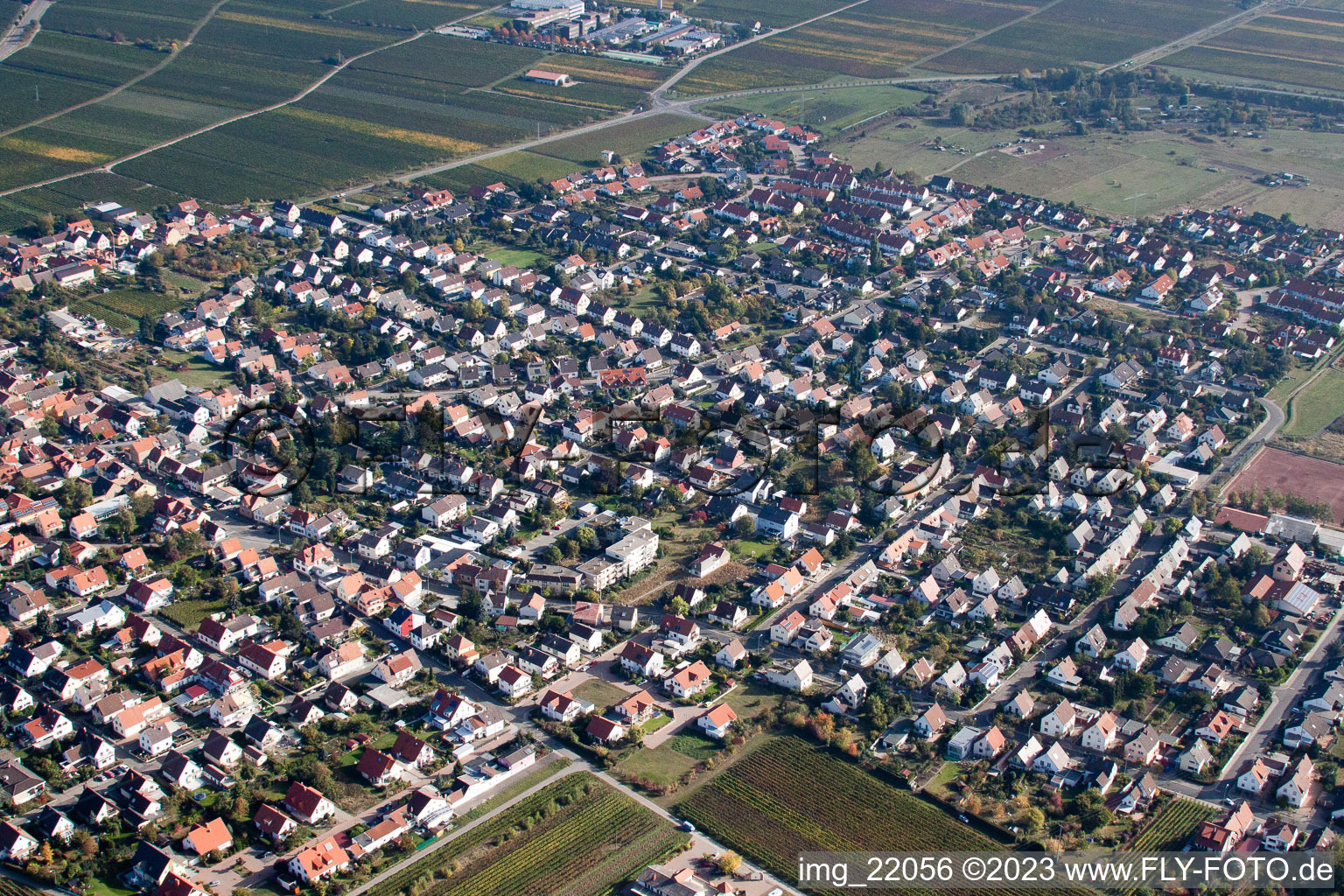 Ortsteil Mußbach in Neustadt an der Weinstraße im Bundesland Rheinland-Pfalz, Deutschland aus der Luft