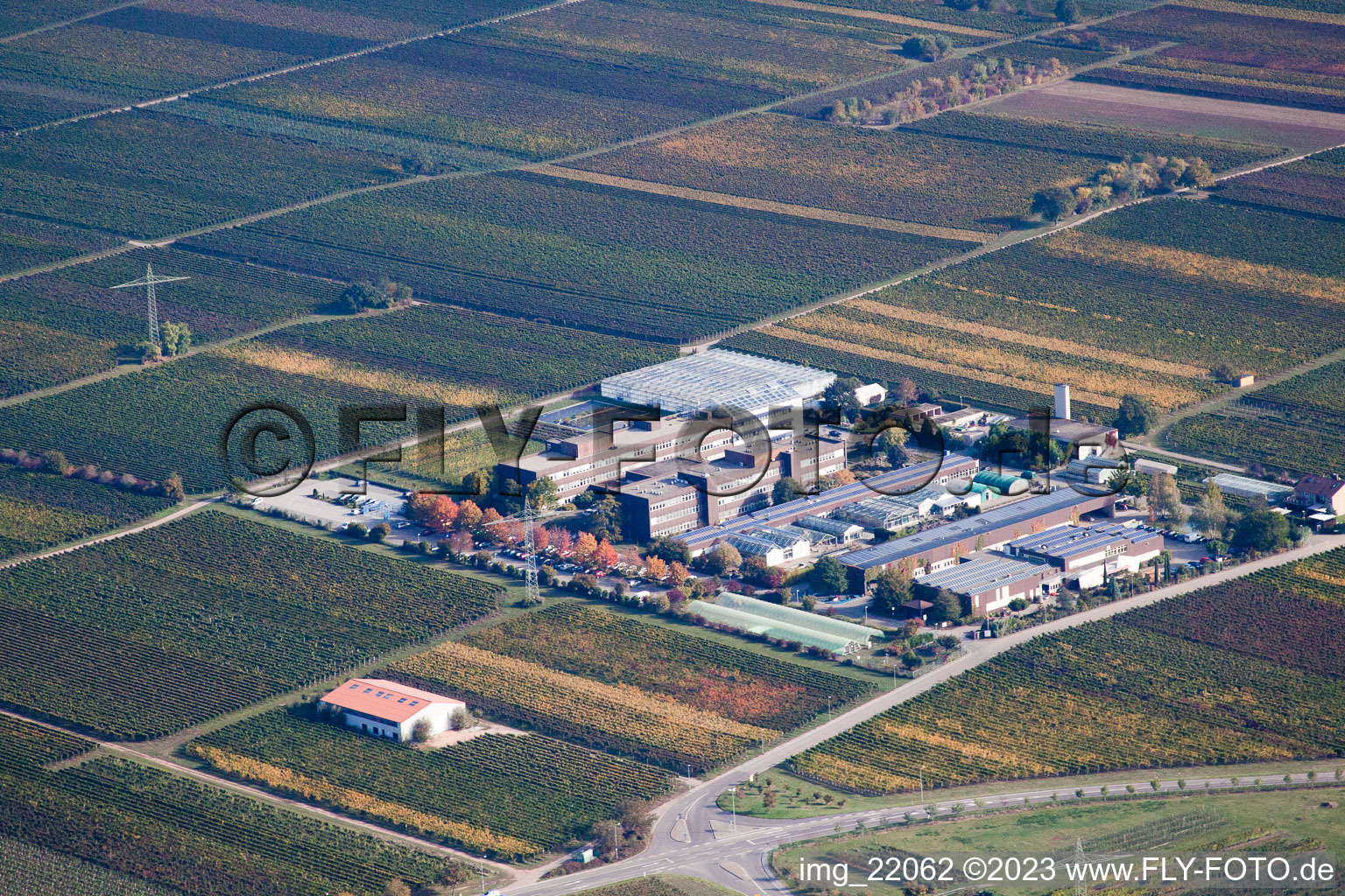 Luftaufnahme von RLP Agroscience im Ortsteil Mußbach in Neustadt an der Weinstraße im Bundesland Rheinland-Pfalz, Deutschland
