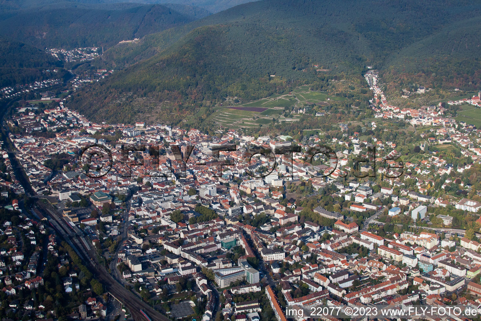 Luftbild von Neustadt an der Weinstraße im Bundesland Rheinland-Pfalz, Deutschland
