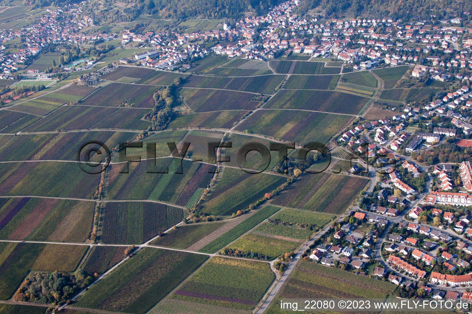 Luftaufnahme von Neustadt an der Weinstraße im Bundesland Rheinland-Pfalz, Deutschland