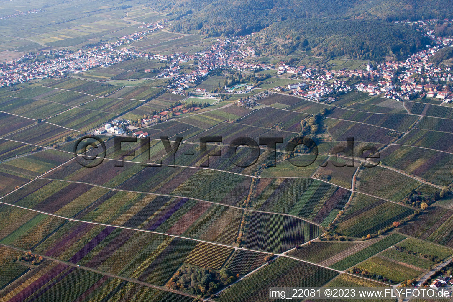 Ortsteil Hambach an der Weinstraße in Neustadt an der Weinstraße im Bundesland Rheinland-Pfalz, Deutschland aus der Vogelperspektive