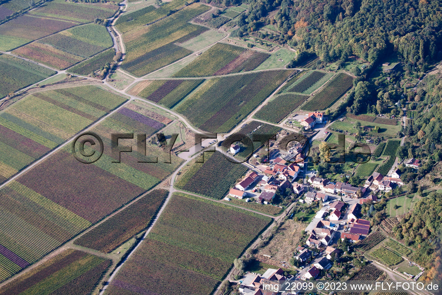 Drohnenbild von Ortsteil Diedesfeld in Neustadt an der Weinstraße im Bundesland Rheinland-Pfalz, Deutschland