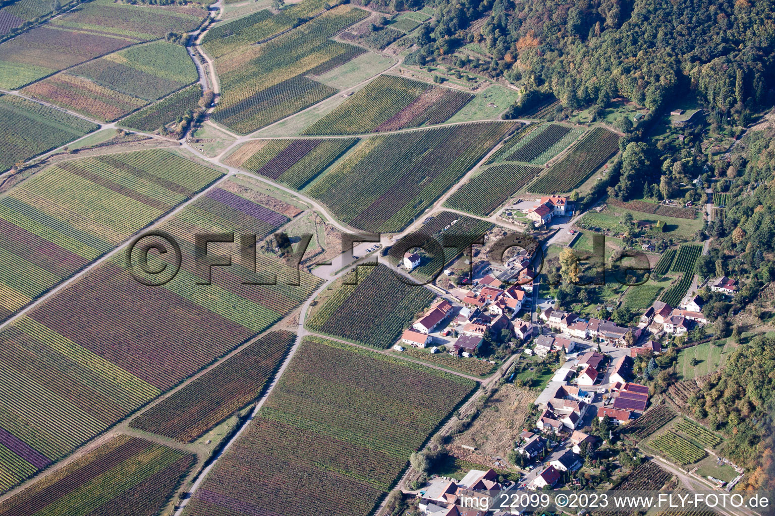 Luftbild von Ortsteil Diedesfeld in Neustadt an der Weinstraße im Bundesland Rheinland-Pfalz, Deutschland