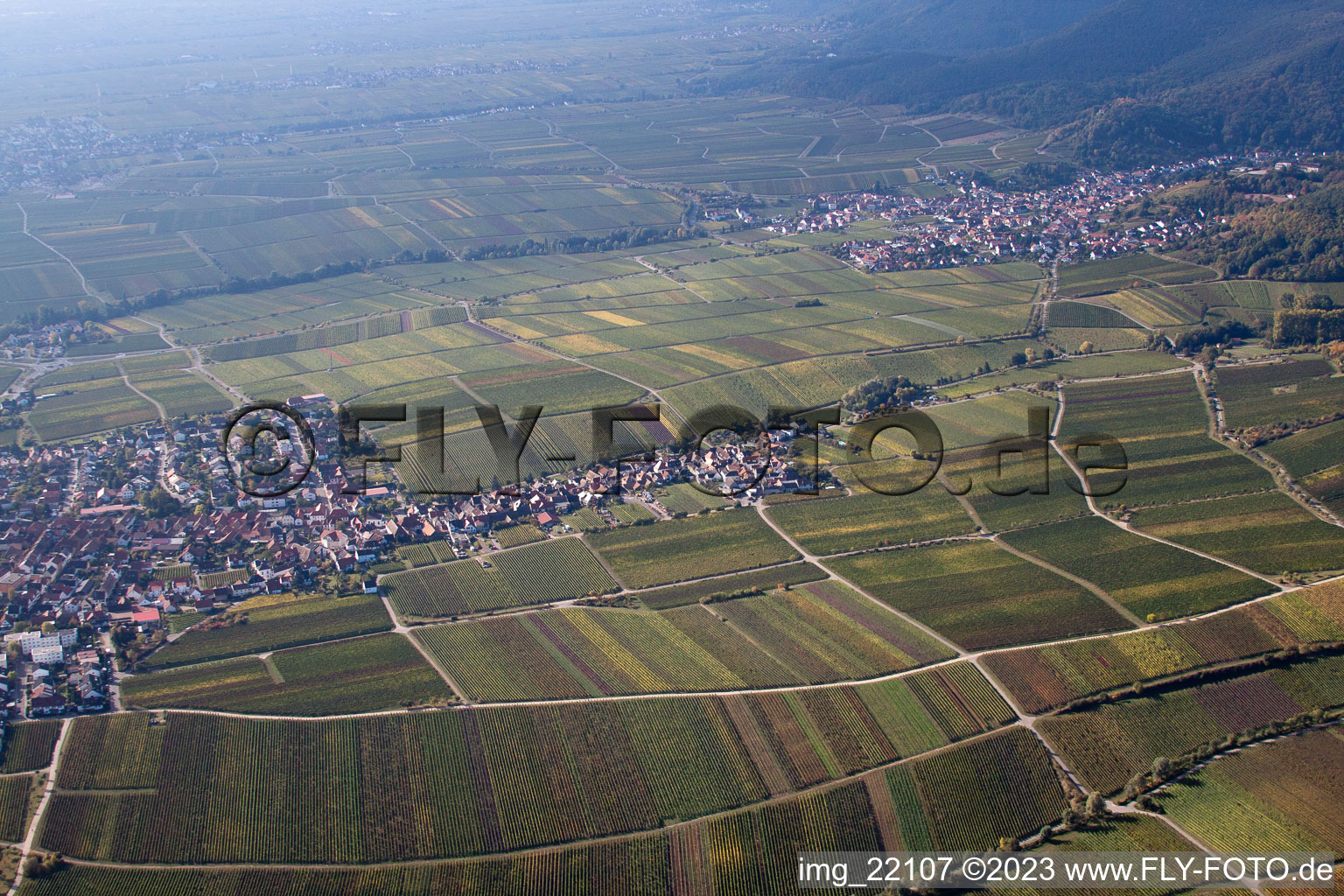 Ortsteil Diedesfeld in Neustadt an der Weinstraße im Bundesland Rheinland-Pfalz, Deutschland von einer Drohne aus