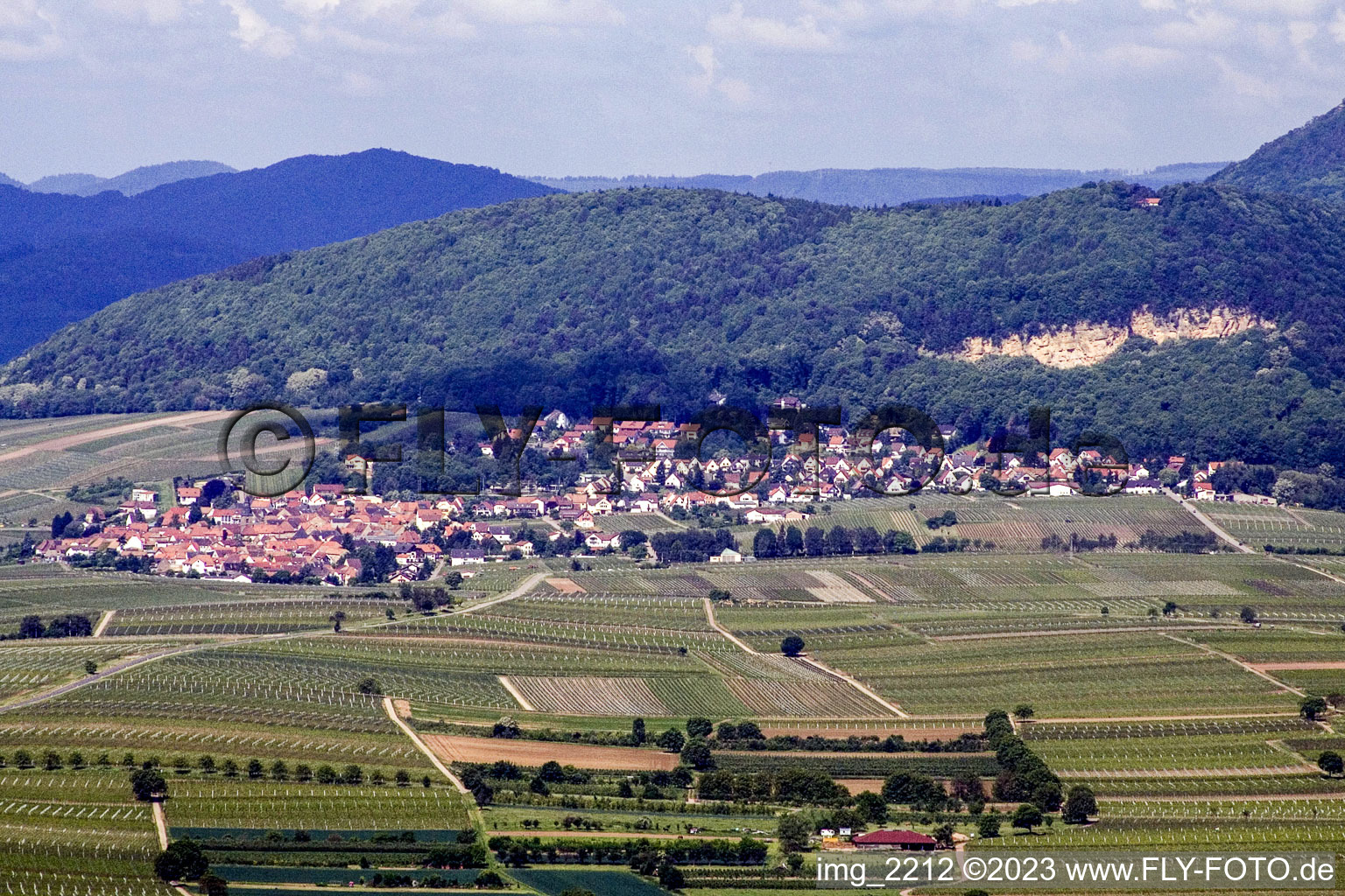 Frankweiler im Bundesland Rheinland-Pfalz, Deutschland von oben gesehen