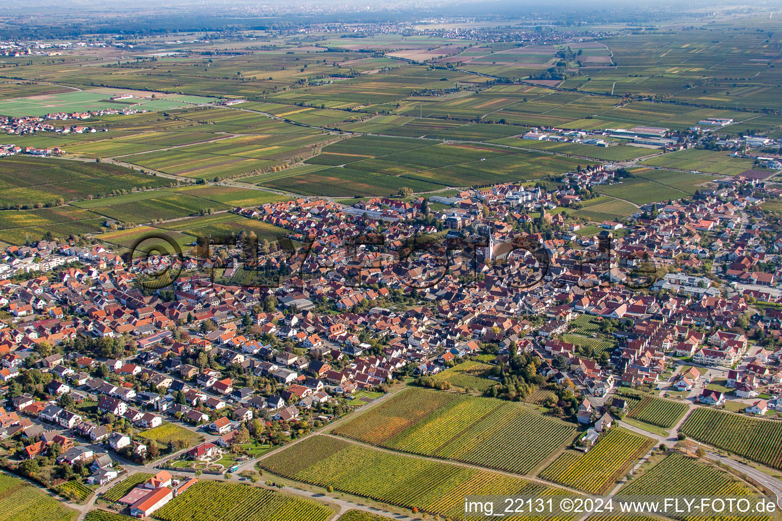 Maikammer im Bundesland Rheinland-Pfalz, Deutschland aus der Drohnenperspektive