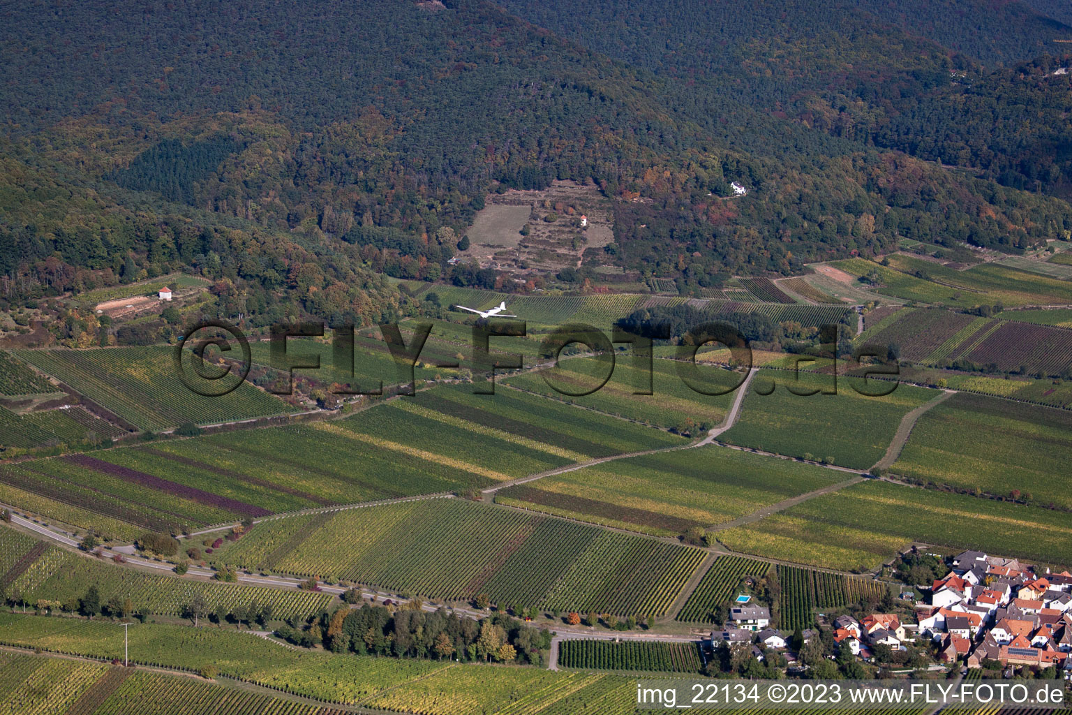 Sankt Martin im Bundesland Rheinland-Pfalz, Deutschland von der Drohne aus gesehen