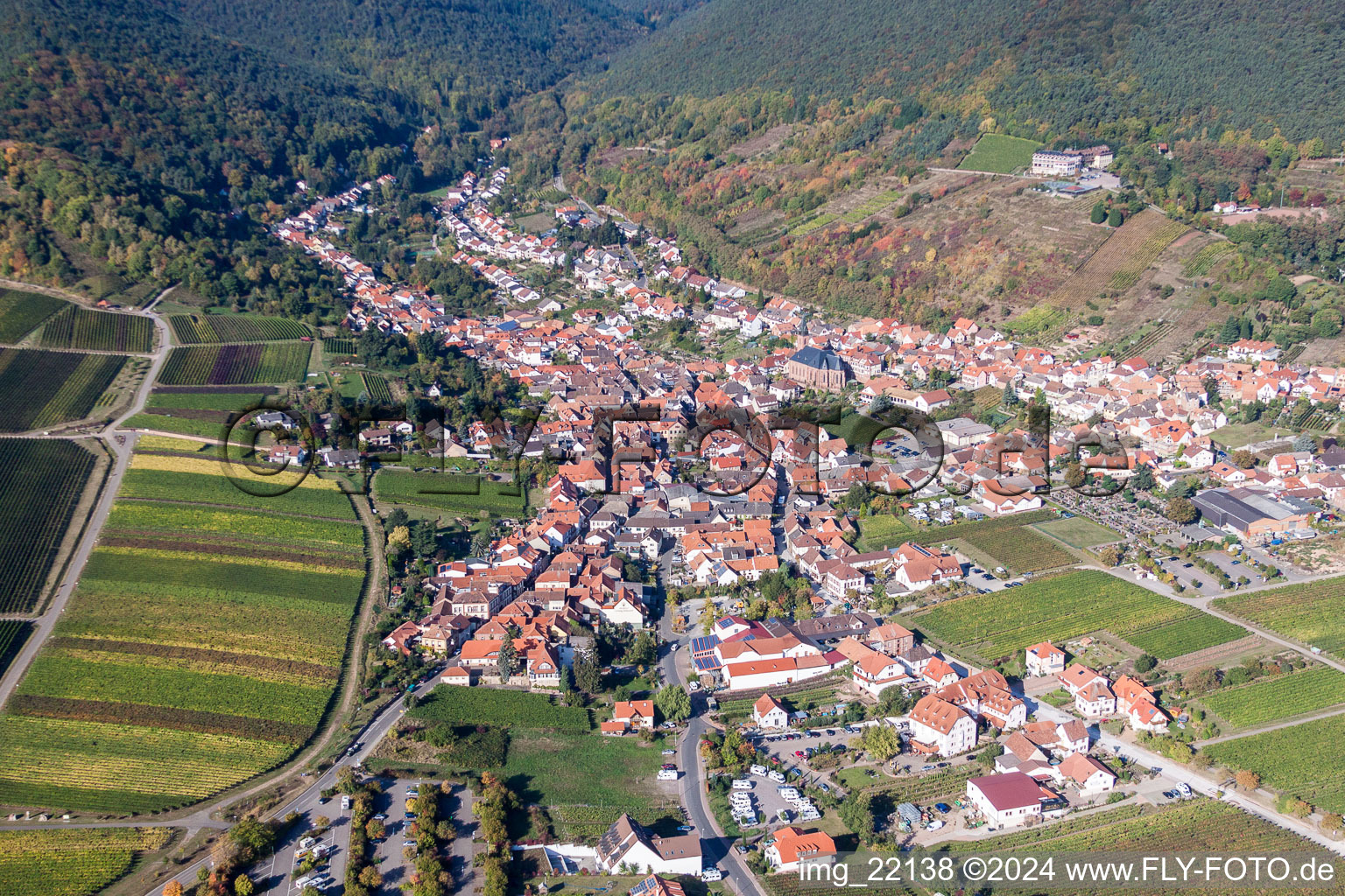 Luftbild von Dorf - Ansicht am Rande der Haardt des Pfälzerwalds zwischen Weinbergen in Sankt Martin im Bundesland Rheinland-Pfalz, Deutschland
