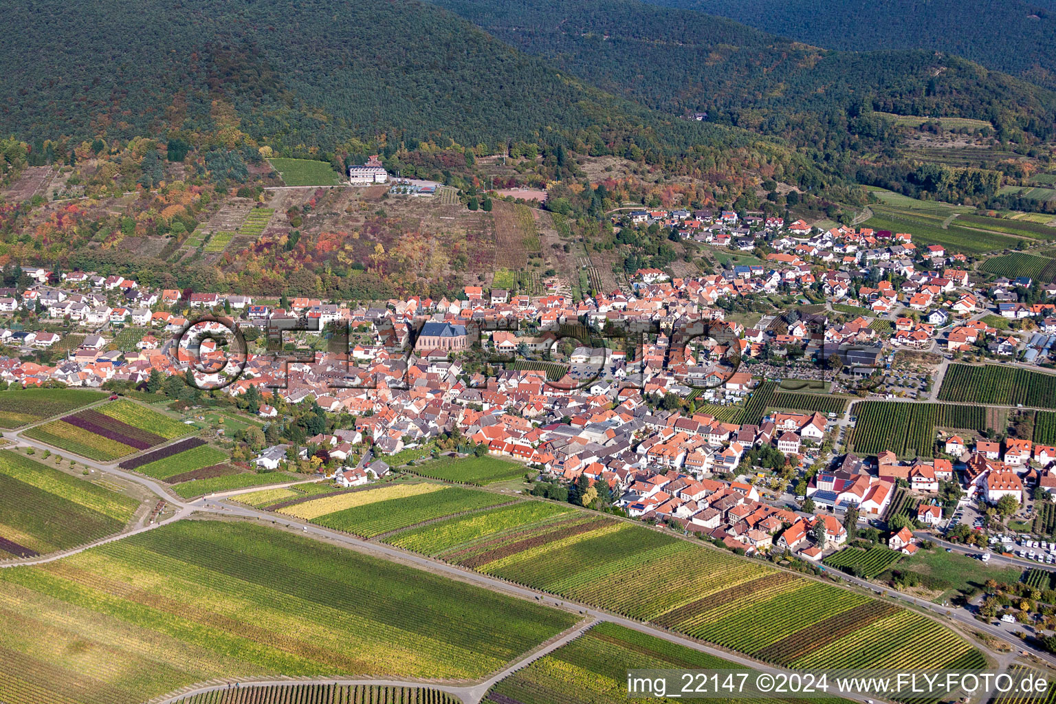 Luftaufnahme von Dorf - Ansicht am Rande der Haardt des Pfälzerwalds zwischen Weinbergen in Sankt Martin im Bundesland Rheinland-Pfalz, Deutschland