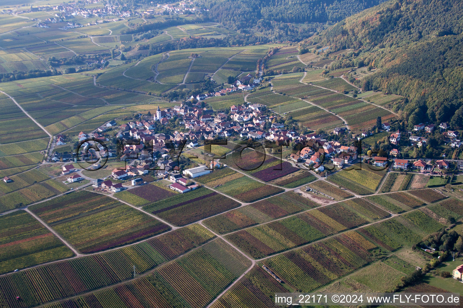 Luftbild von Weyher in der Pfalz im Bundesland Rheinland-Pfalz, Deutschland