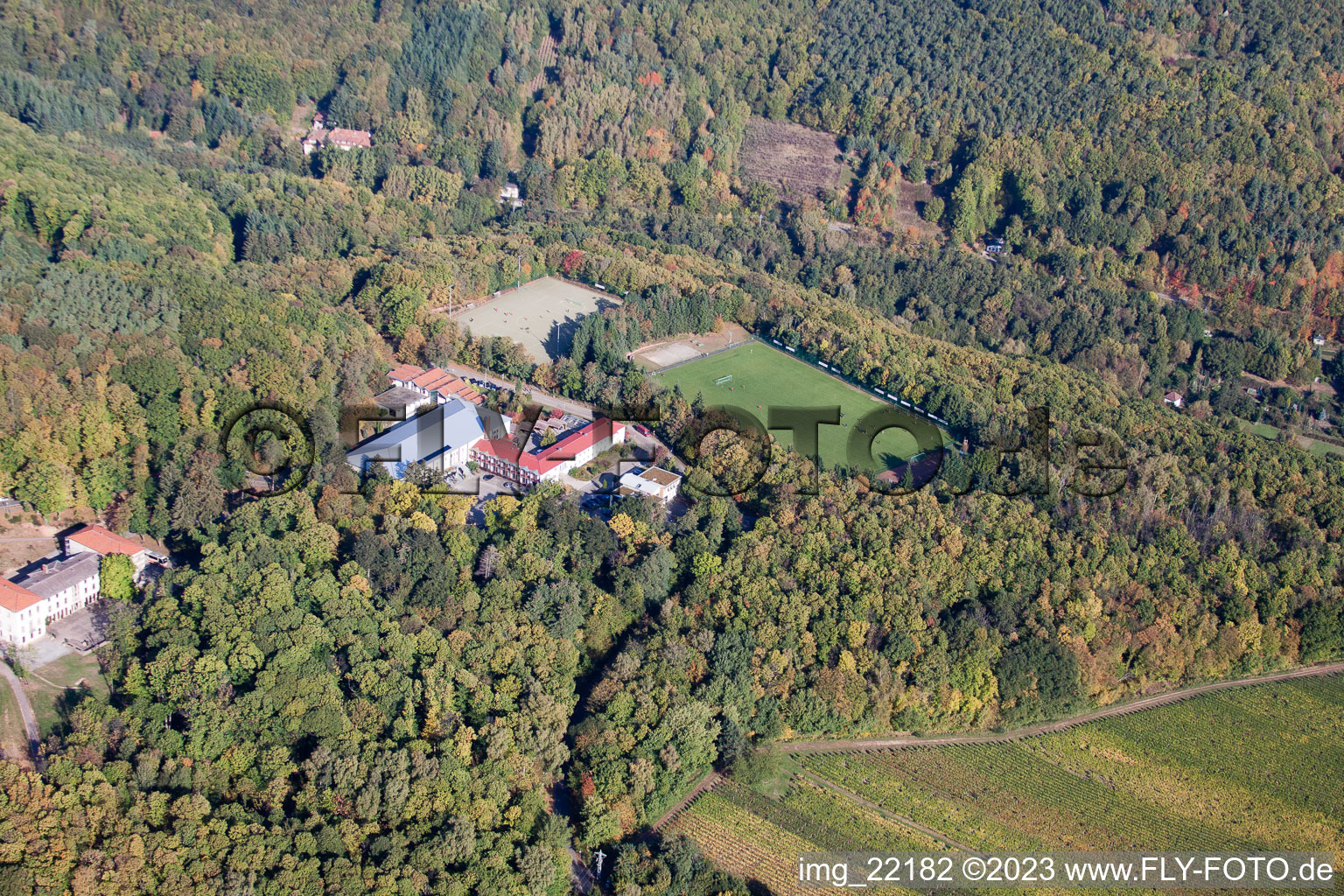 Luftaufnahme von Weyher in der Pfalz im Bundesland Rheinland-Pfalz, Deutschland