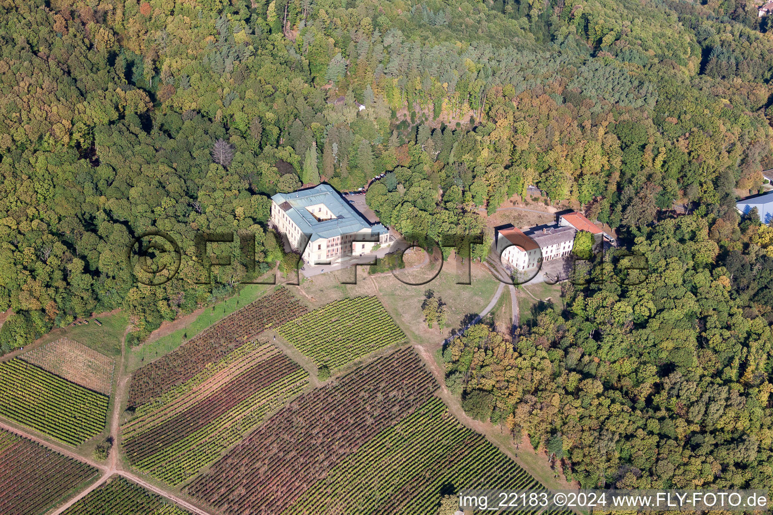 Luftaufnahme von Palais des Schloss Villa Ludwigshöhe in Edenkoben im Bundesland Rheinland-Pfalz, Deutschland