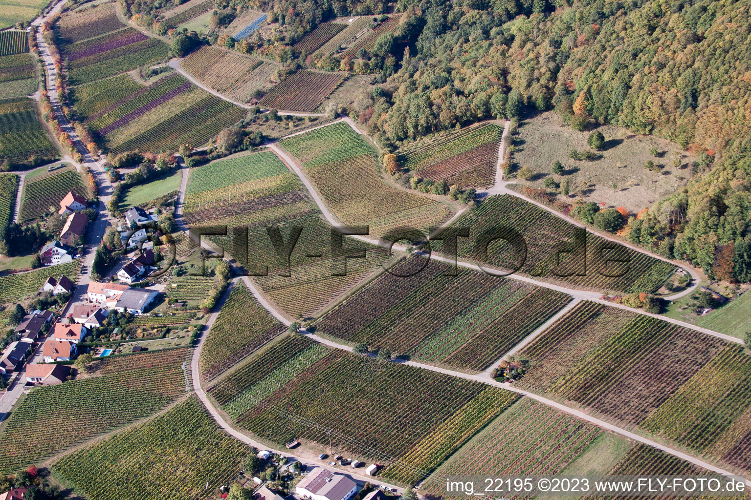 Drohnenbild von Weyher in der Pfalz im Bundesland Rheinland-Pfalz, Deutschland