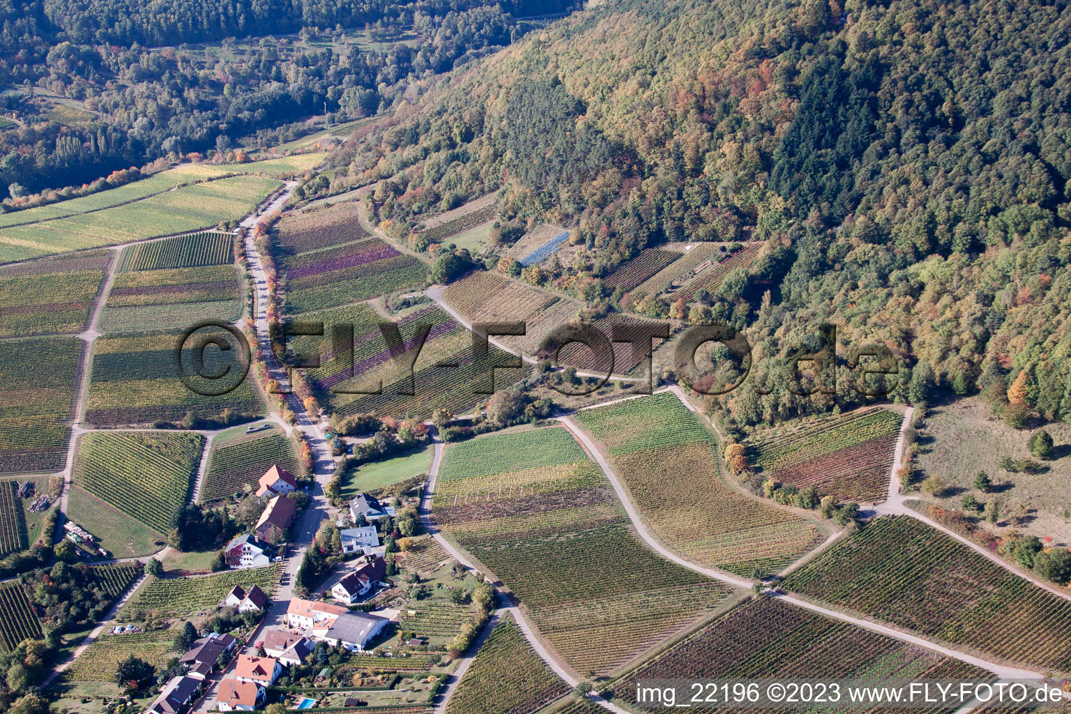 Weyher in der Pfalz im Bundesland Rheinland-Pfalz, Deutschland aus der Drohnenperspektive