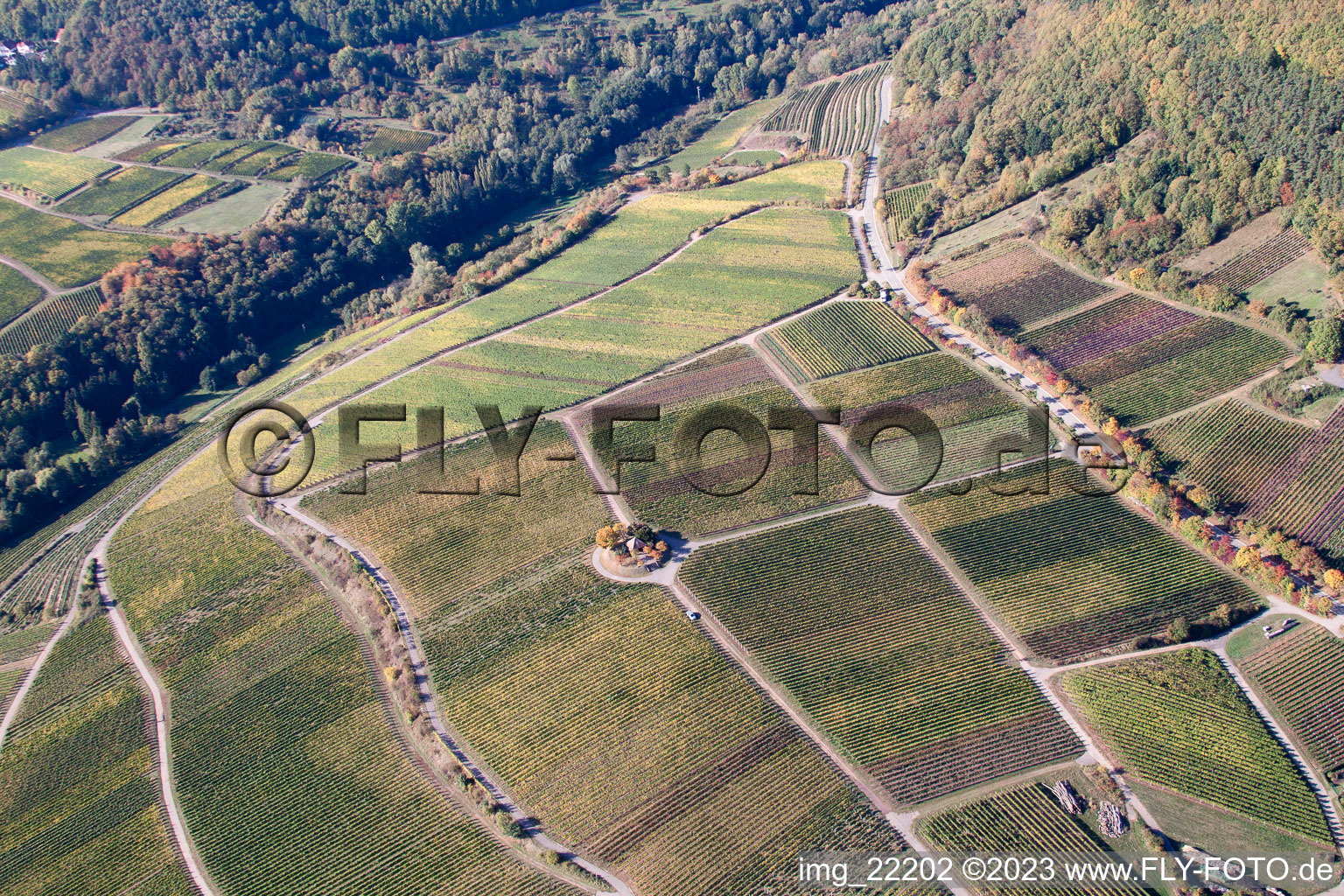 Luftaufnahme von Weyher in der Pfalz im Bundesland Rheinland-Pfalz, Deutschland
