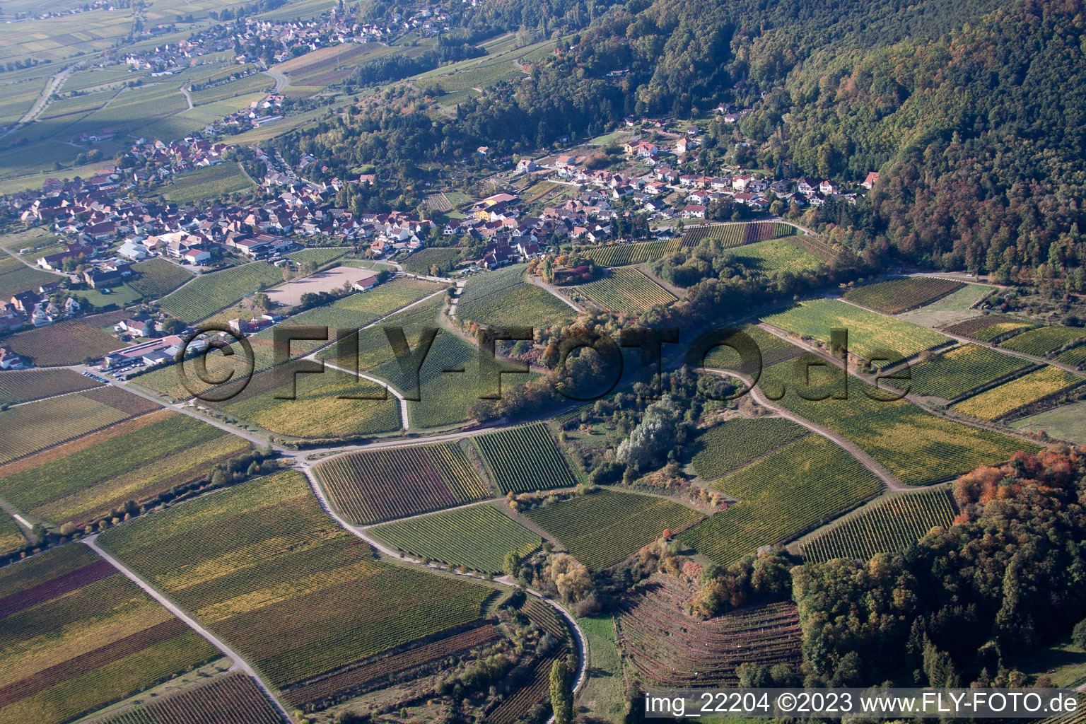 Luftaufnahme von Burrweiler im Bundesland Rheinland-Pfalz, Deutschland