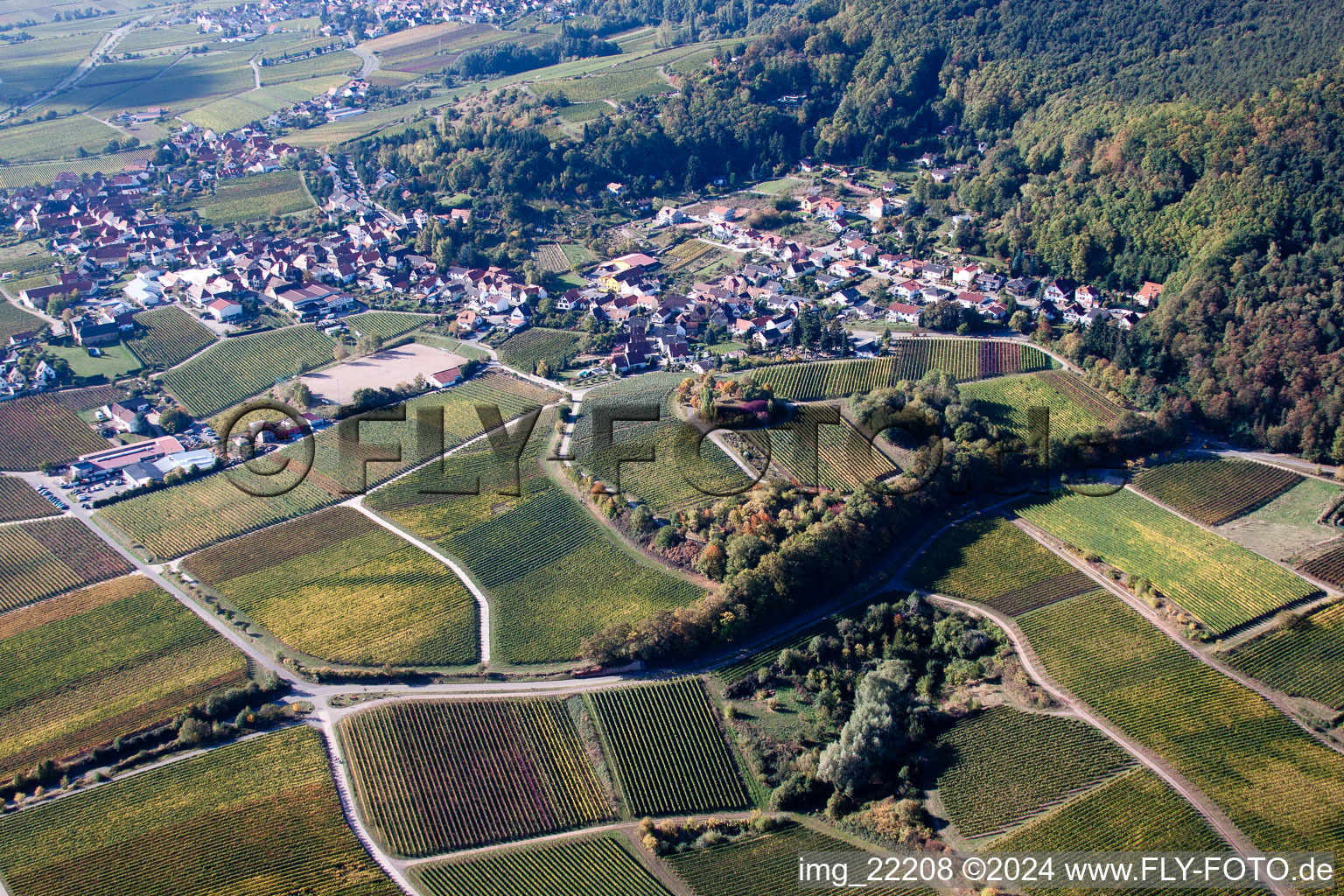 Burrweiler im Bundesland Rheinland-Pfalz, Deutschland von oben gesehen