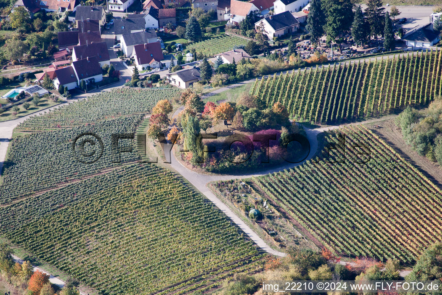 Baum- Insel auf einem Feld in Burrweiler im Bundesland Rheinland-Pfalz, Deutschland