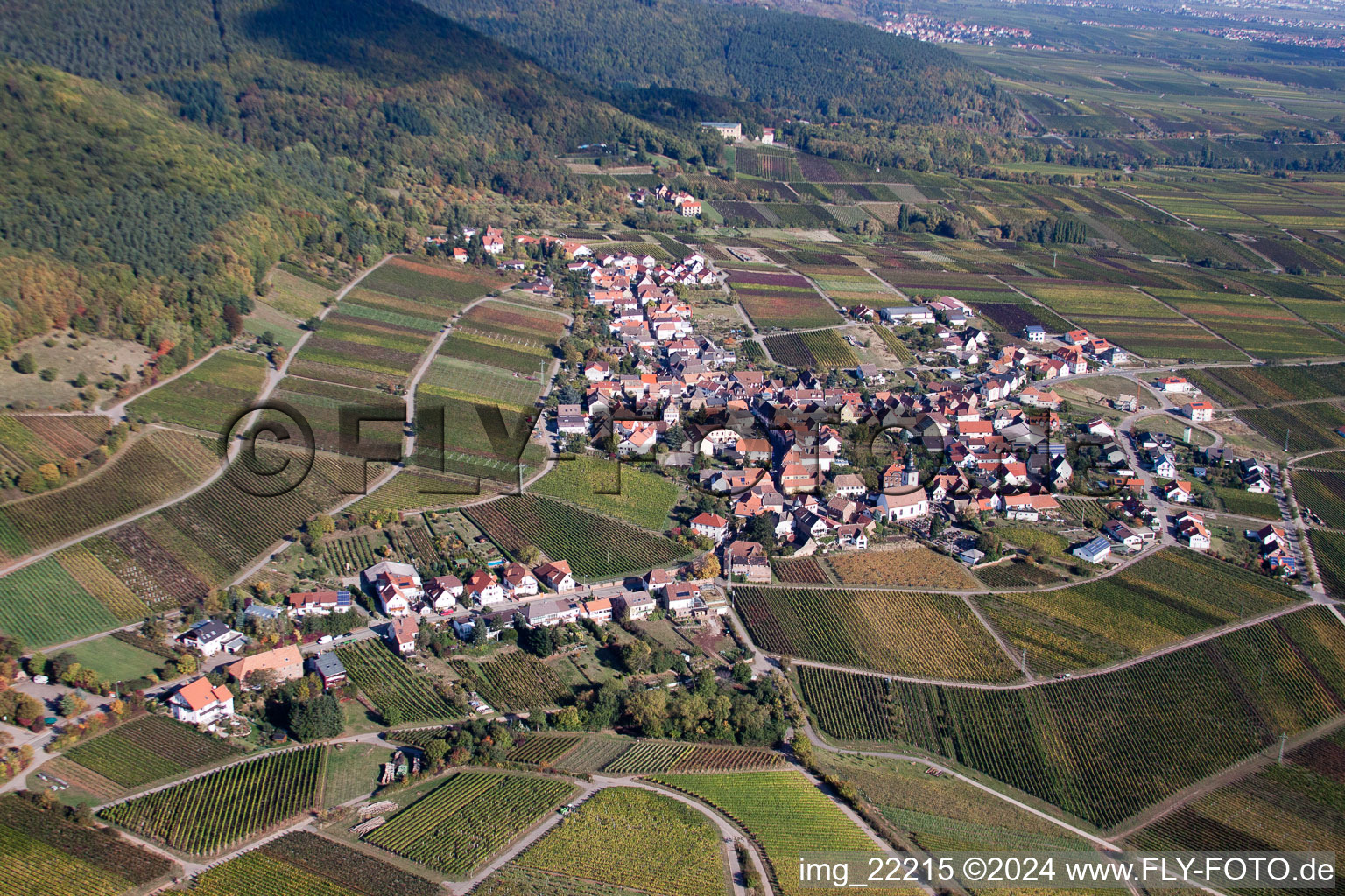 Dorf - Ansicht am Rande von Weinbergen in Weyher in der Pfalz im Bundesland Rheinland-Pfalz, Deutschland